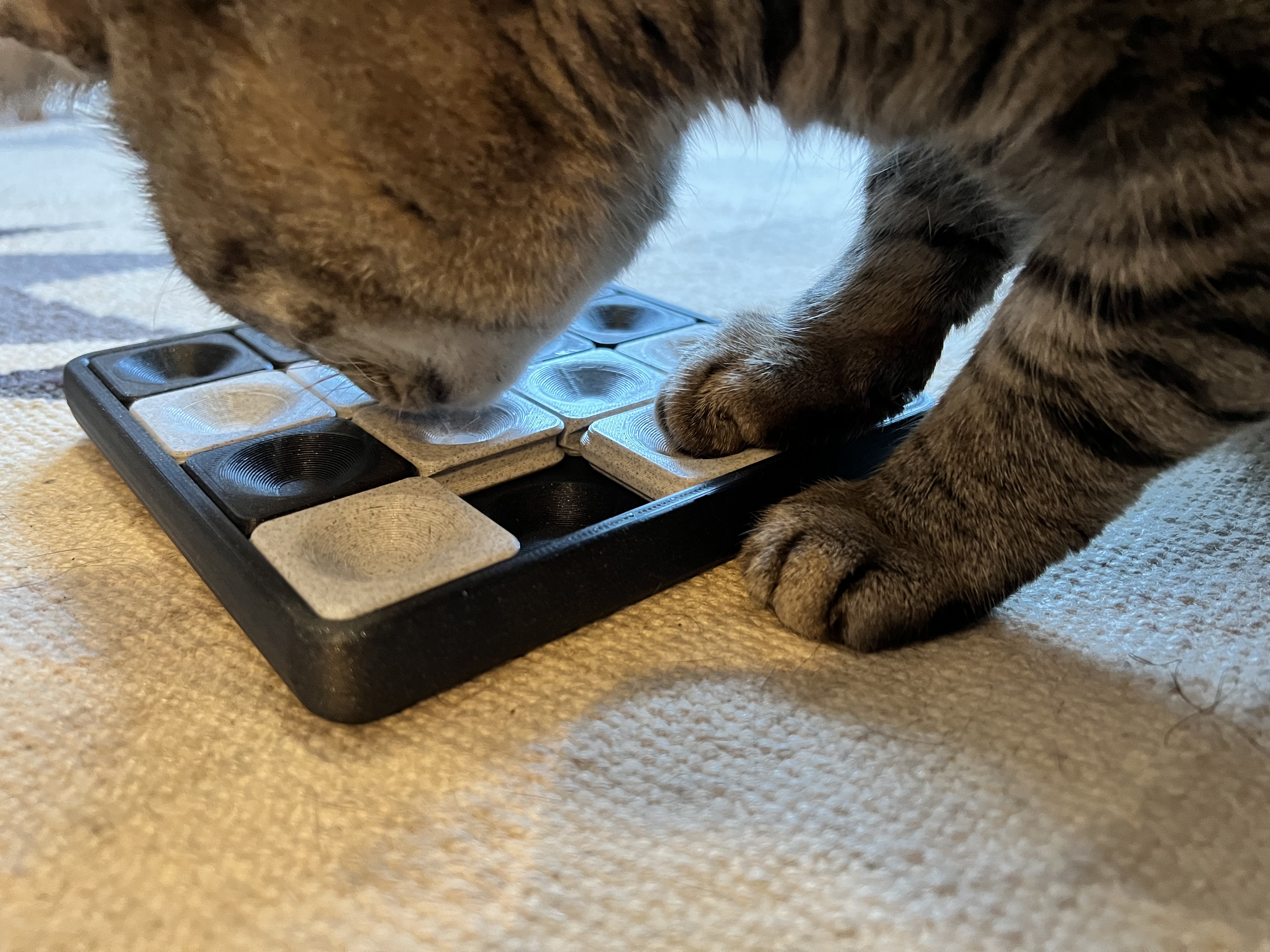 Sliding Cat Treat Puzzle