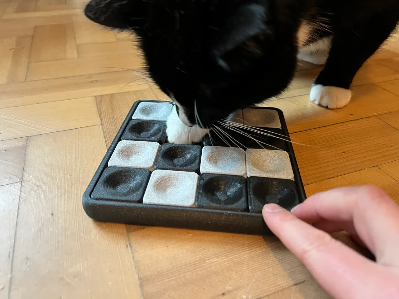 Puzzle Diy Cat Treat Toy Sliding Cat Treat Puzzle By Ben Download