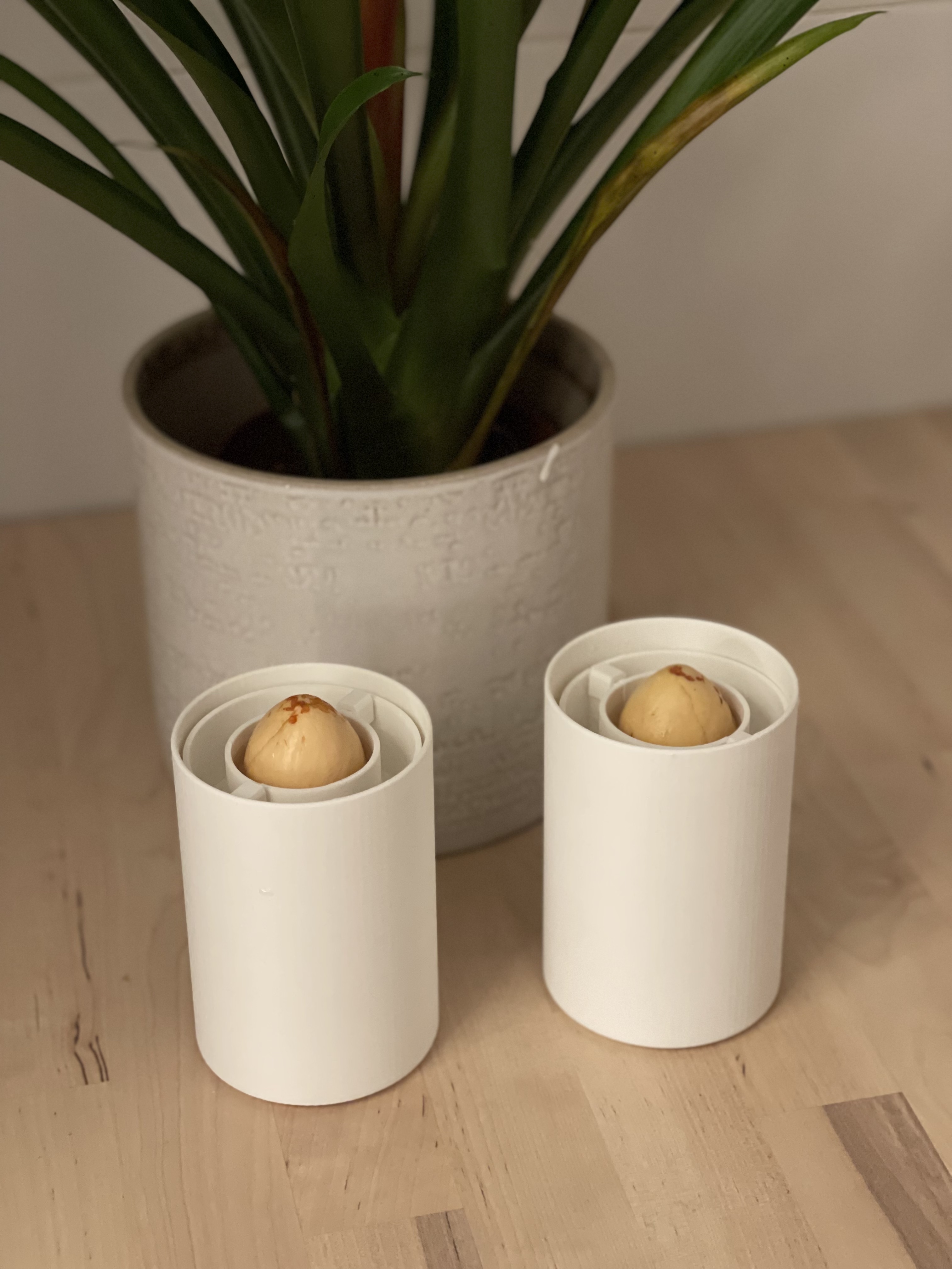 Vase for the Avocado Floater