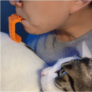 cat tongue brush (updated)