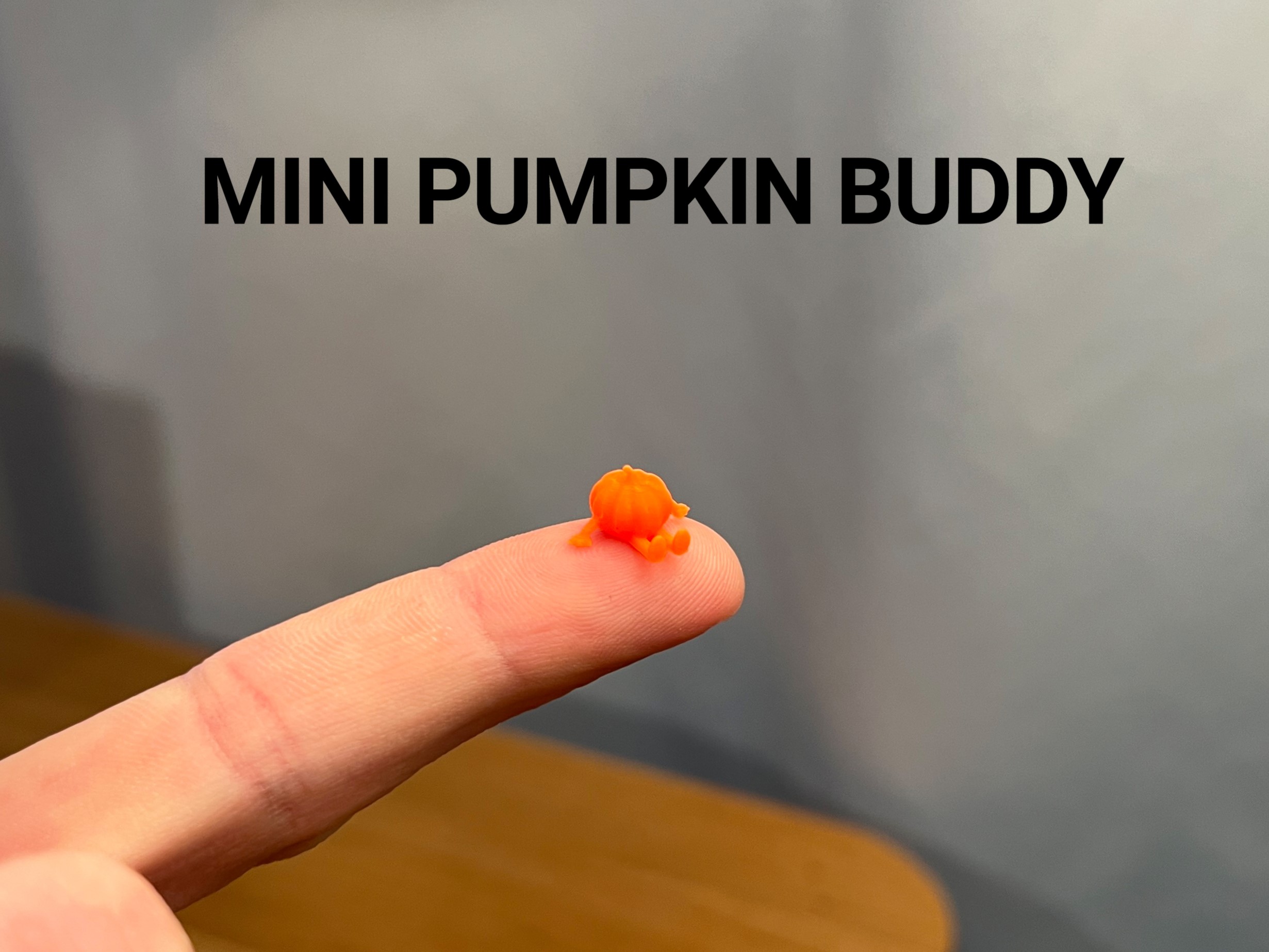 Mini Pumpkin Buddy