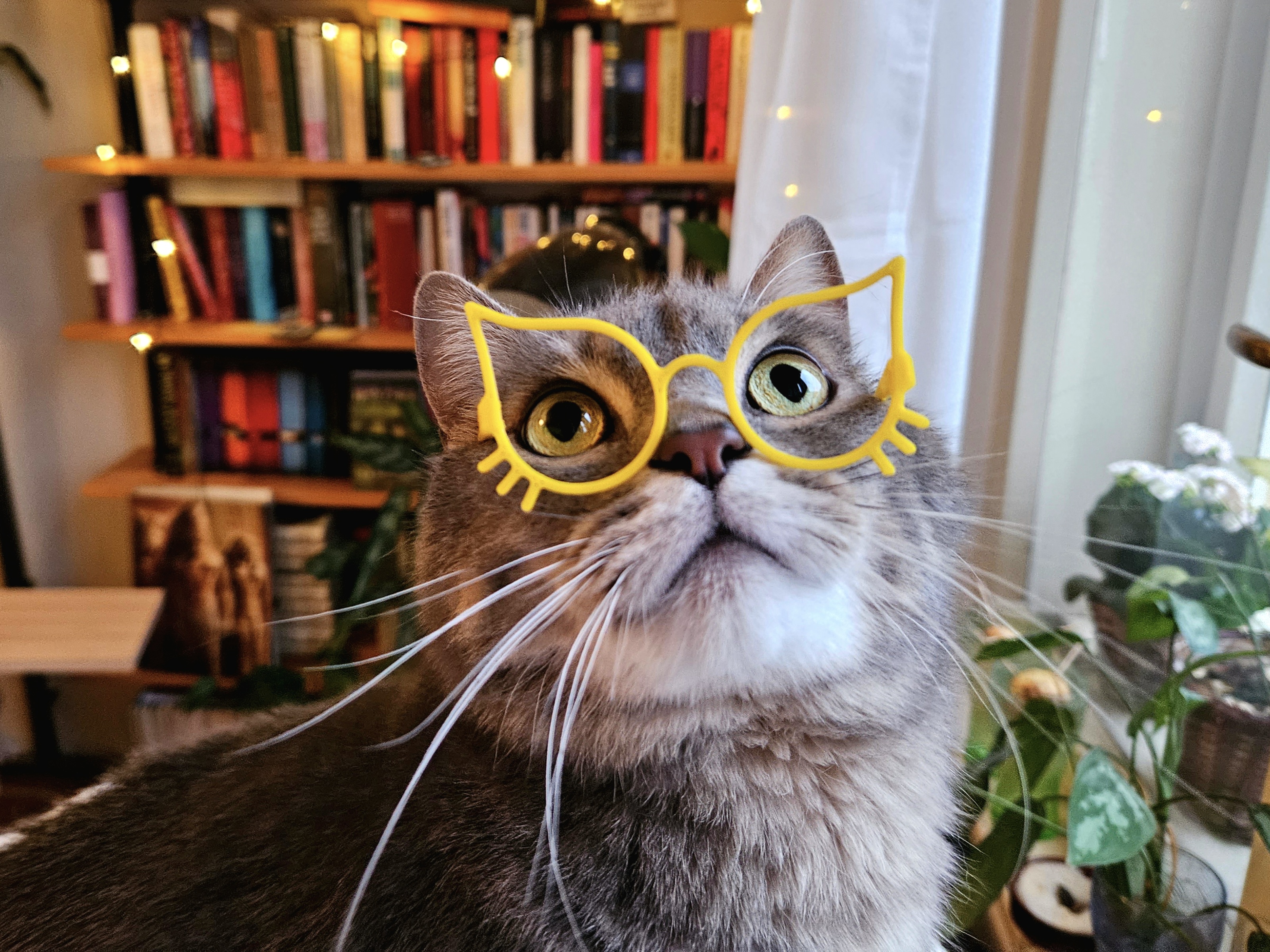 Cat-Eye Glasses