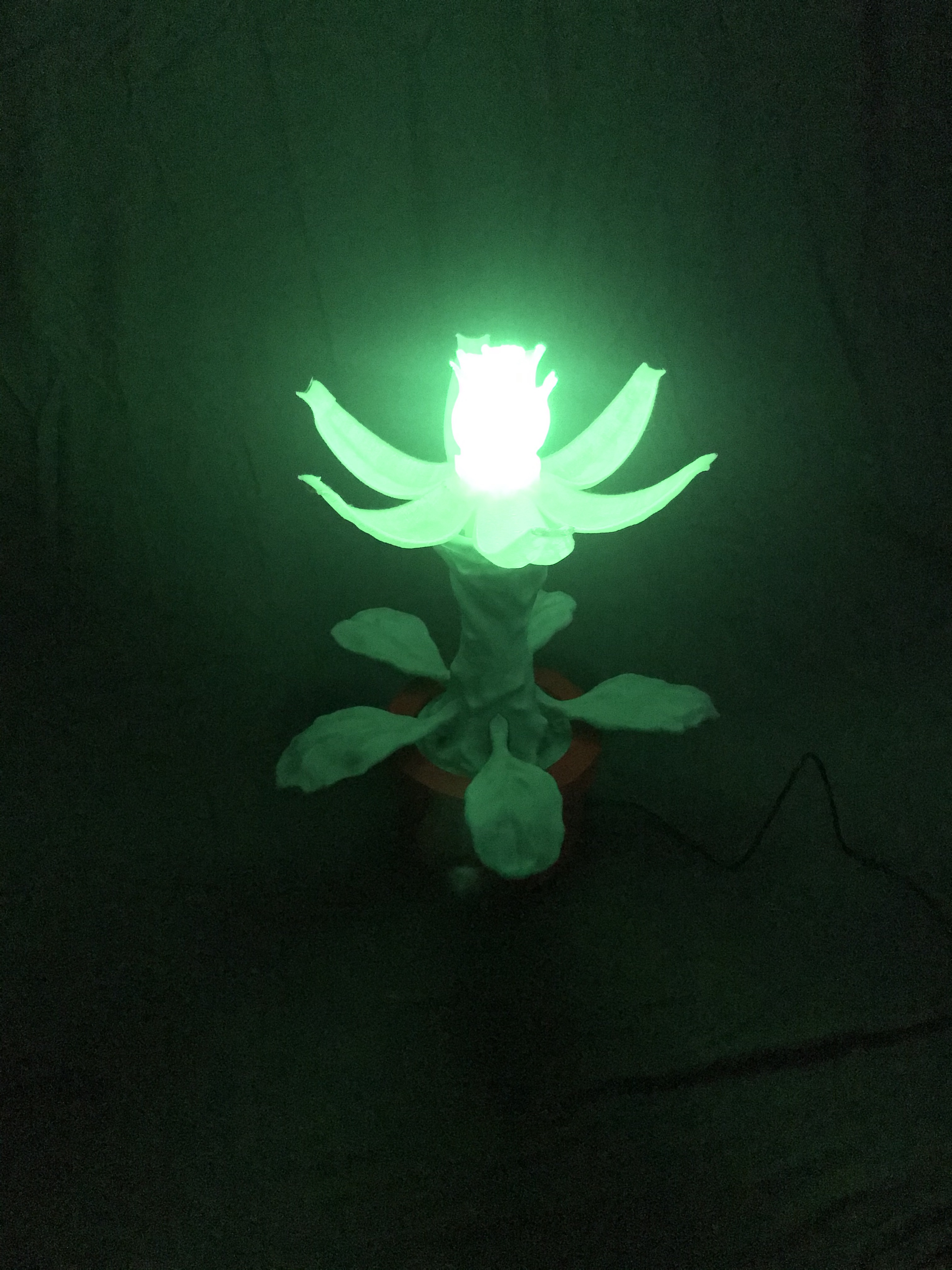 Alien Flower
