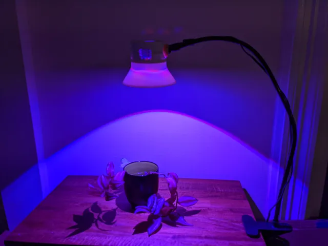 The ultimate grow light