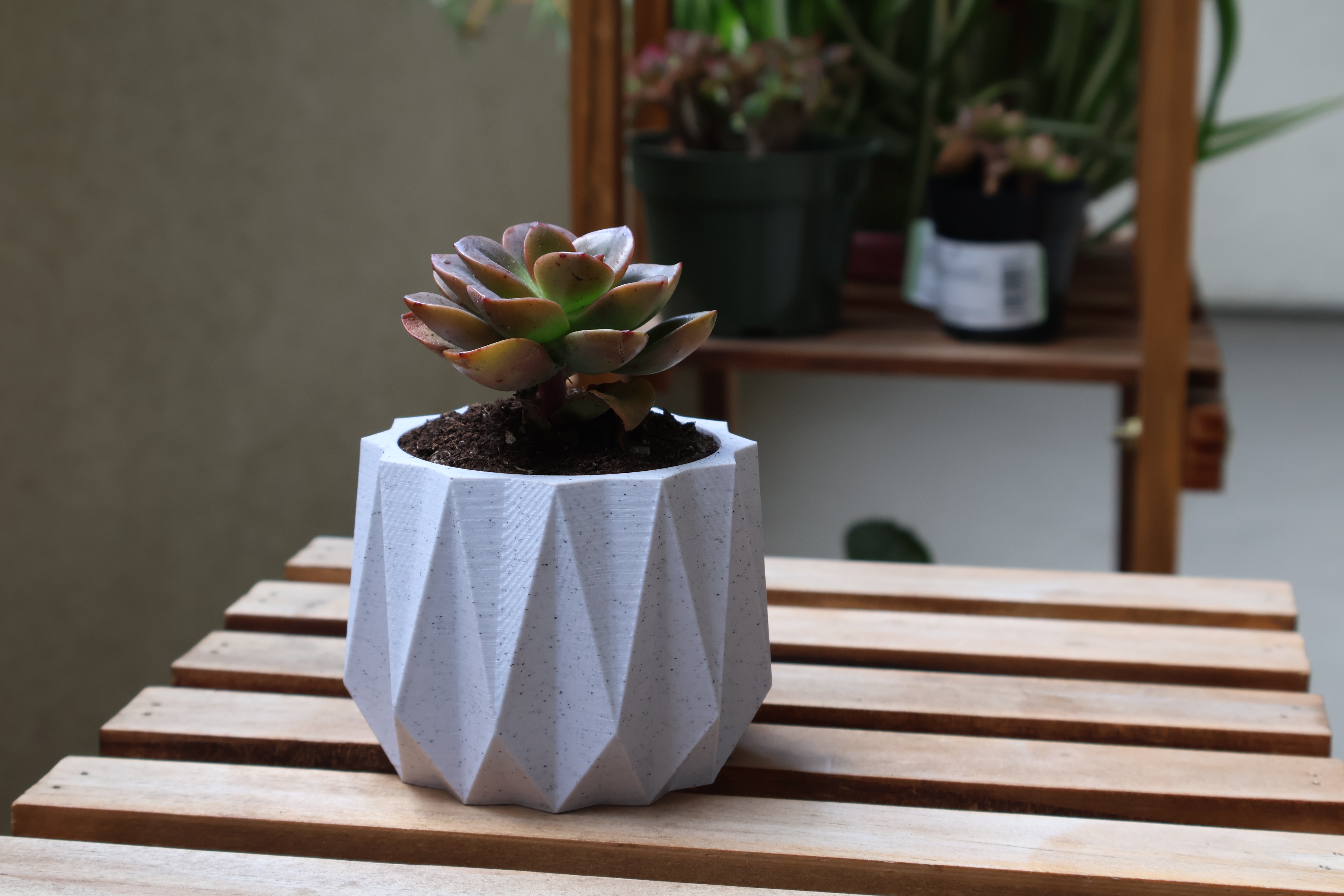 Planter 12 - Succulent Life with drainage holes