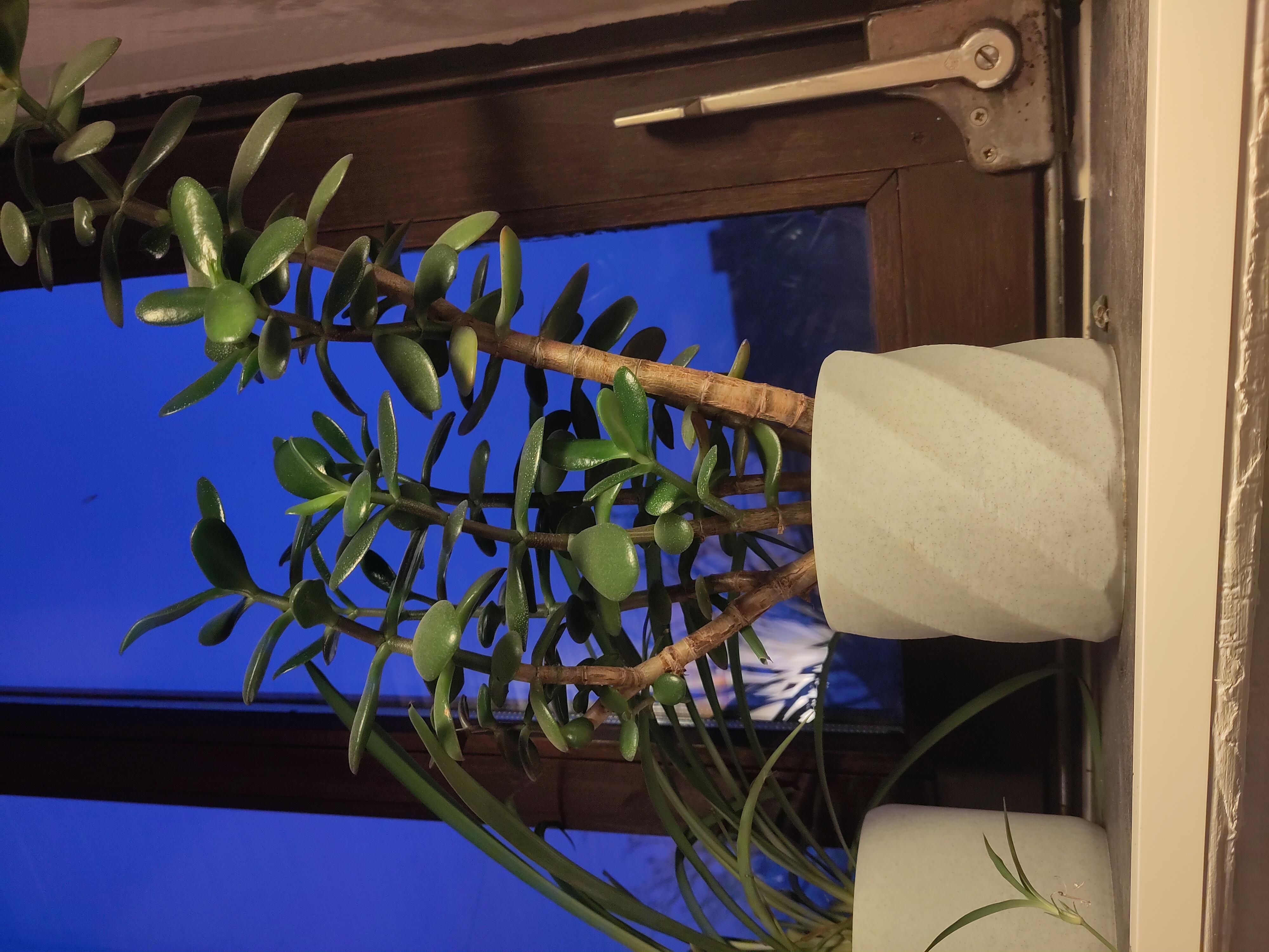 Vase Mode Planters — miniatura 2