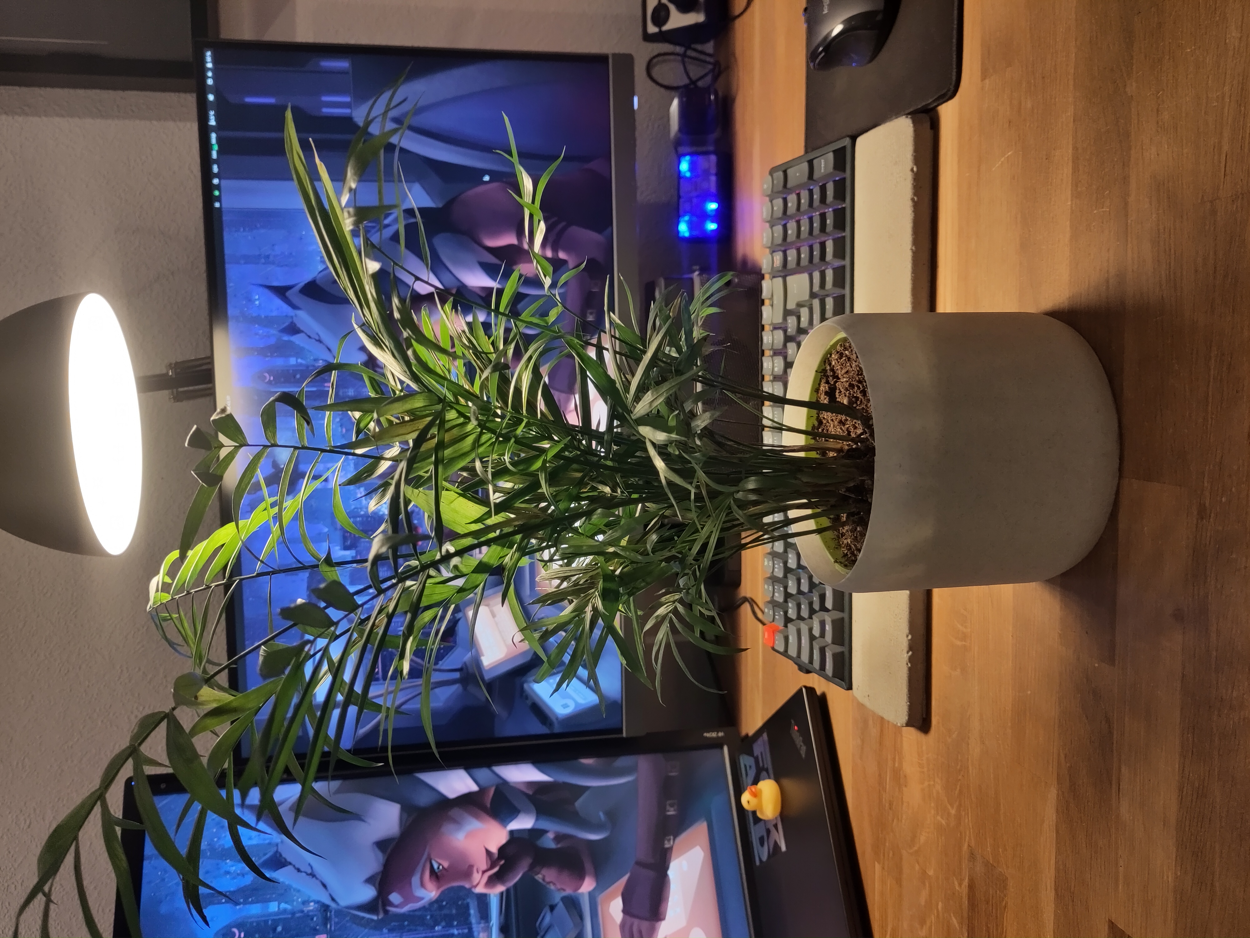 Vase Mode Planters — miniatura 3