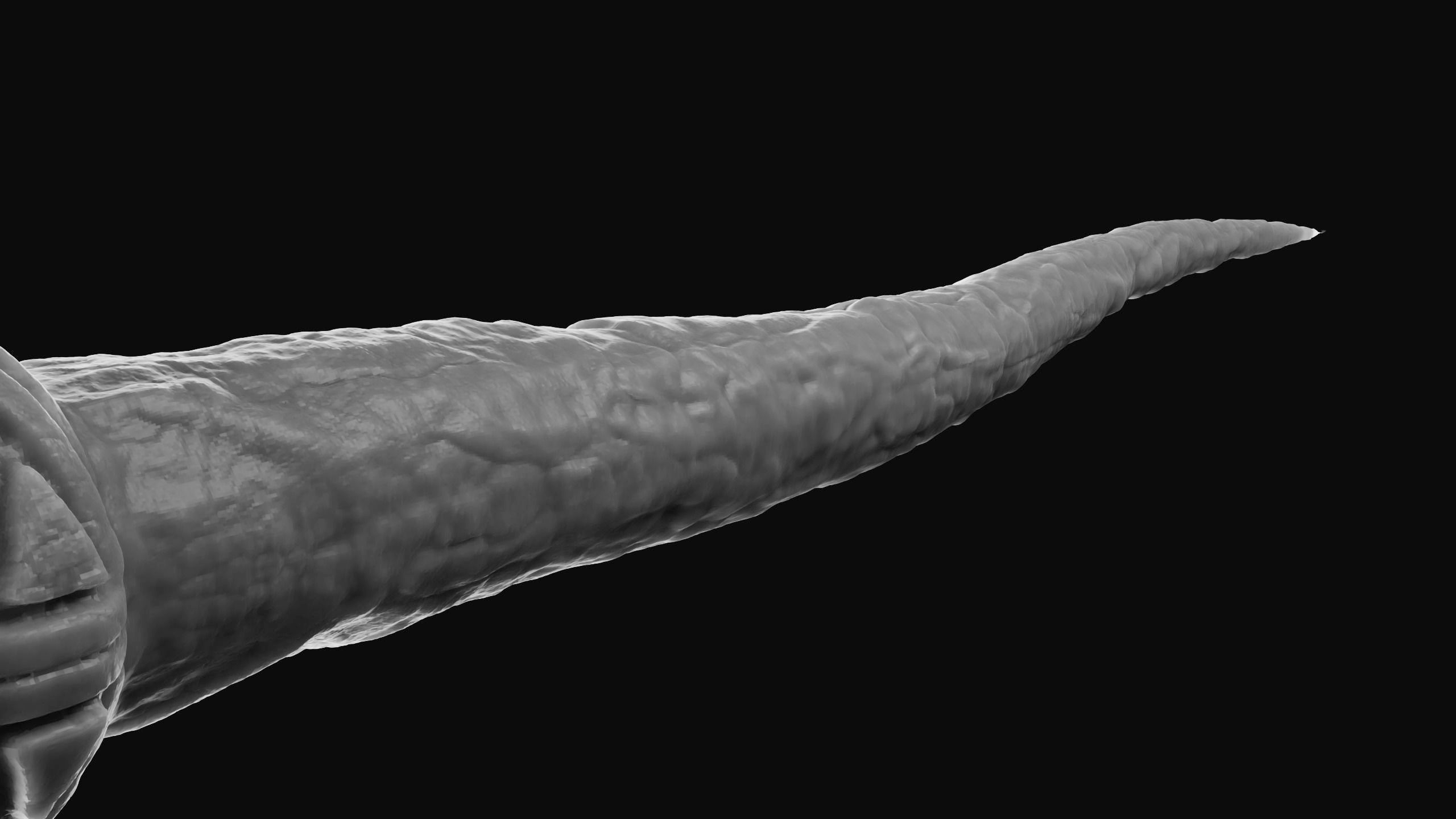Enchanting 3D Printable Wand by Matteo Pascale | Download free STL ...