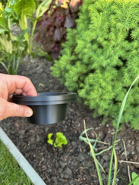 Slug Protection Ring for Seedlings – Stackable — miniatura 3