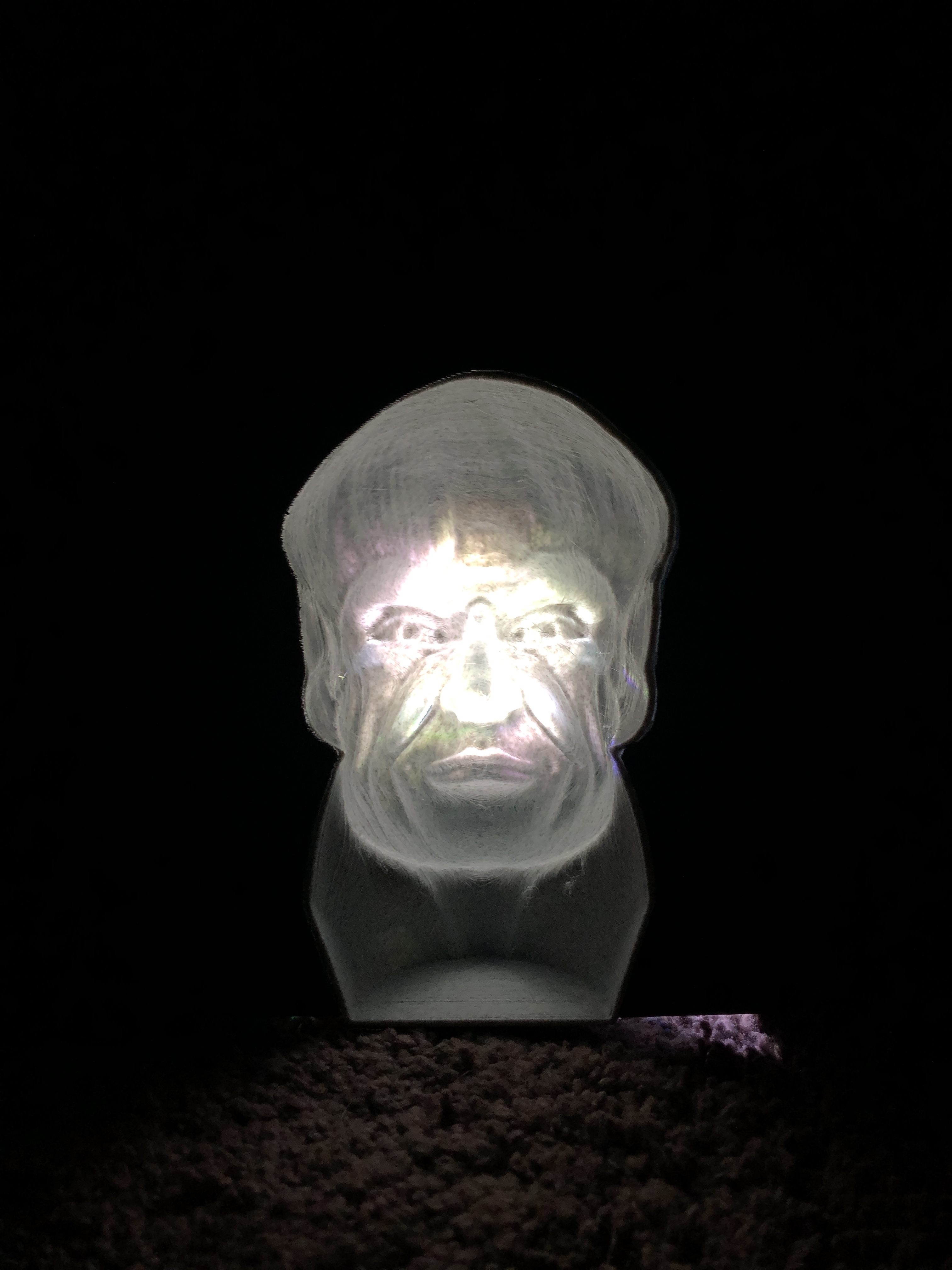 Following Head Bust