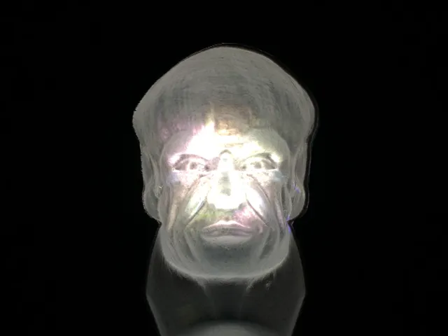 Following Head Bust