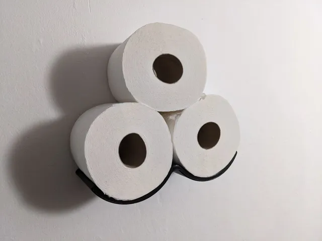toilet paper holder cloud 3 rolls