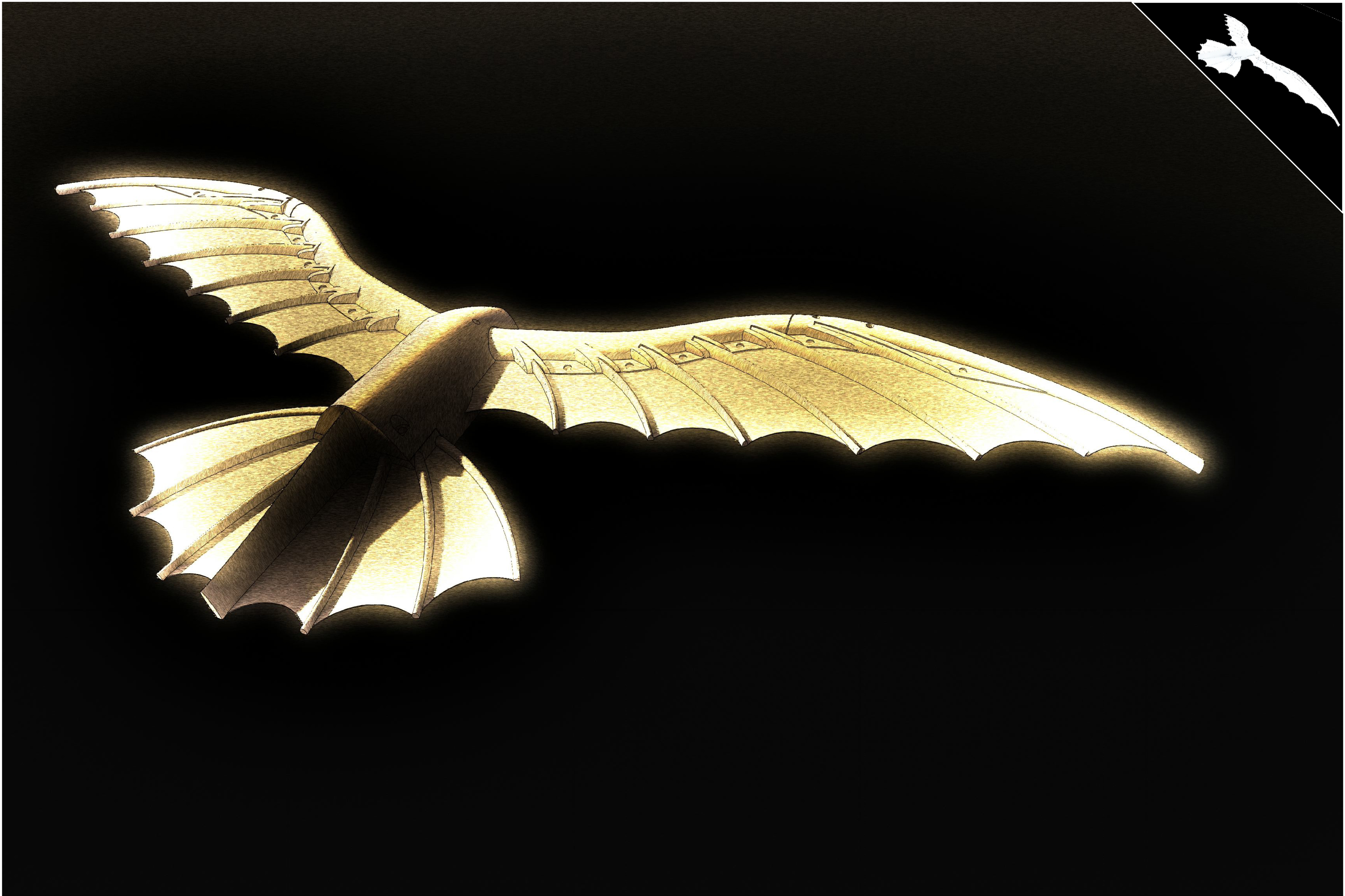 DaVinci's flying kite/glider