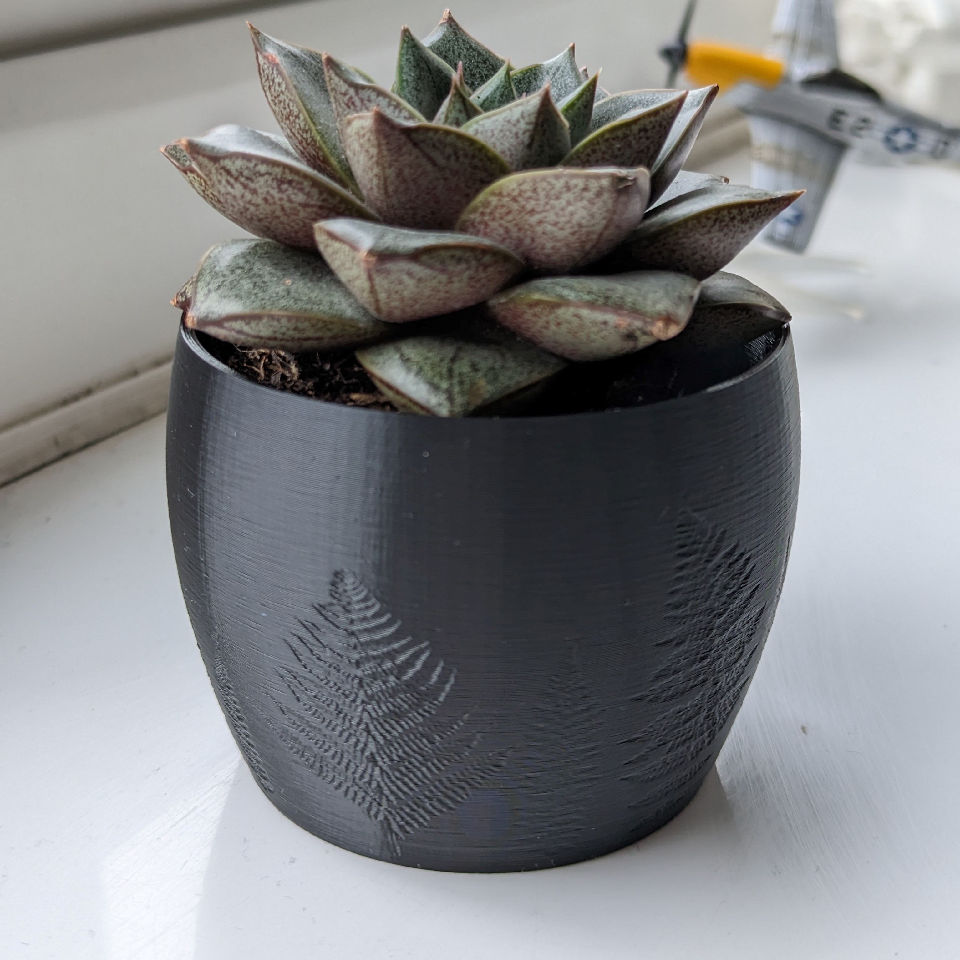 Embossed fern texture plant pot, planter