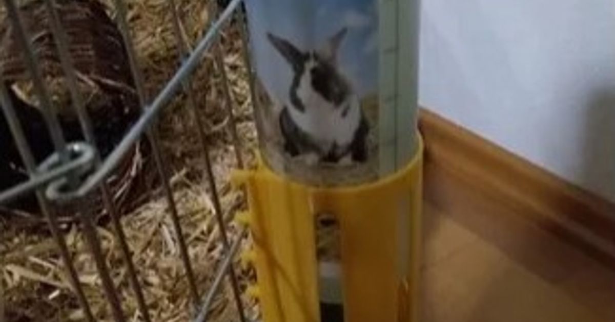 Water Bottle Holder for Guinea Pigs and Small Rabbits by HaPeWe