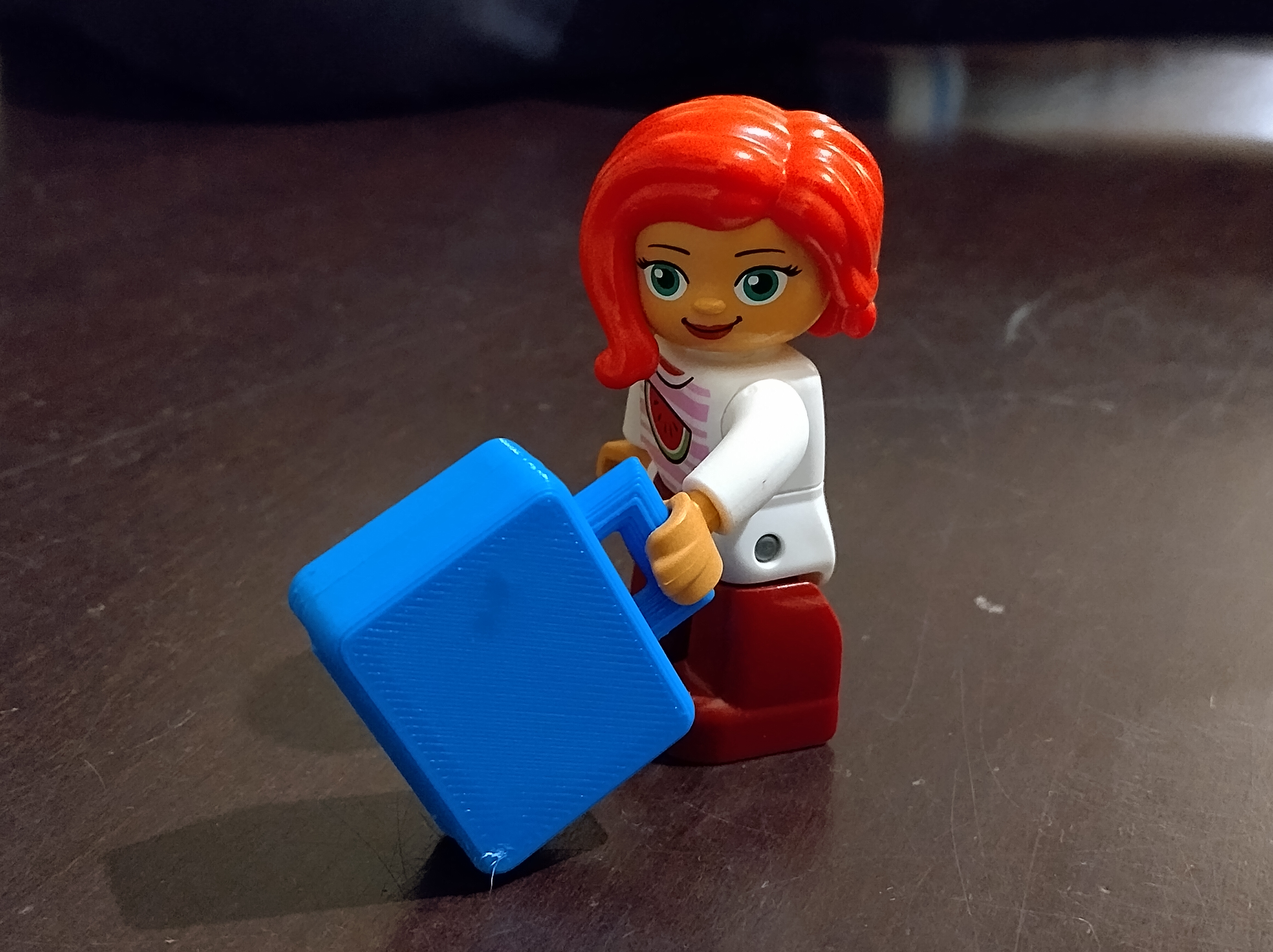 Duplo suitcase