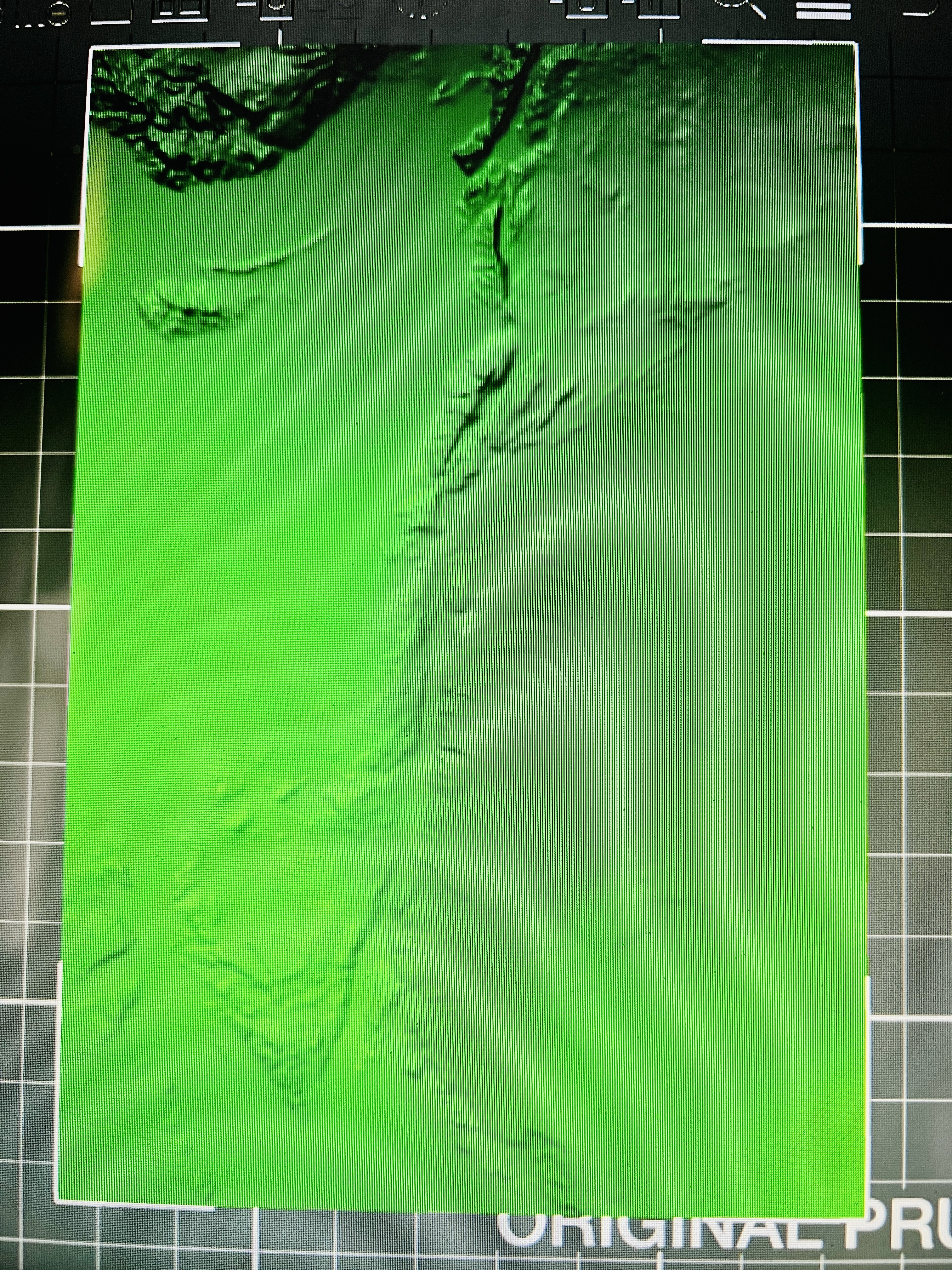 Topographic Map of Israel & Surrounding Areas