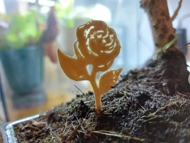 Rose to your Bonsai Garden, Flat rose model