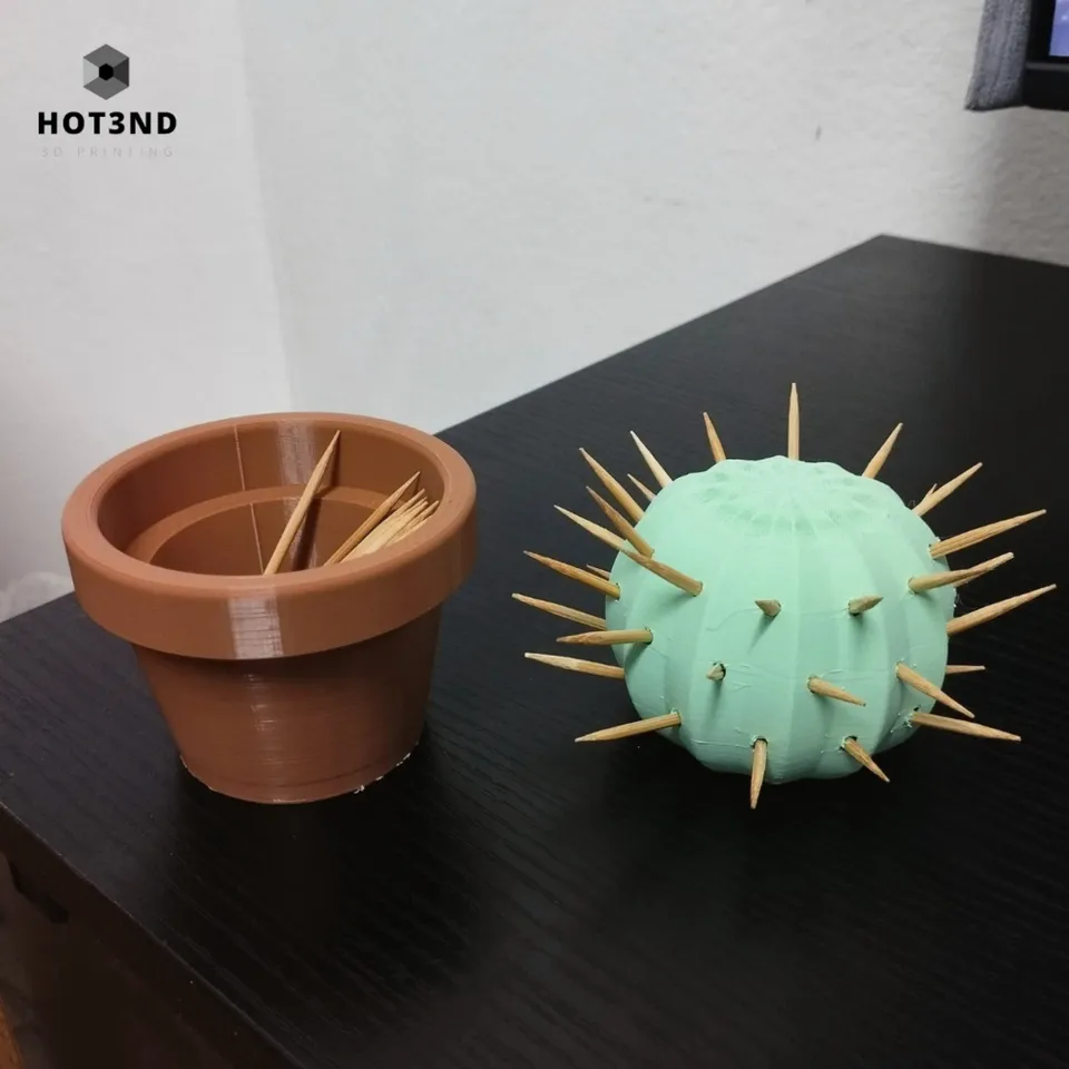 powdered san pedro cactus Echinopsis Pachanoi San Pedro Cactus For Sale  Kesslers Cacti