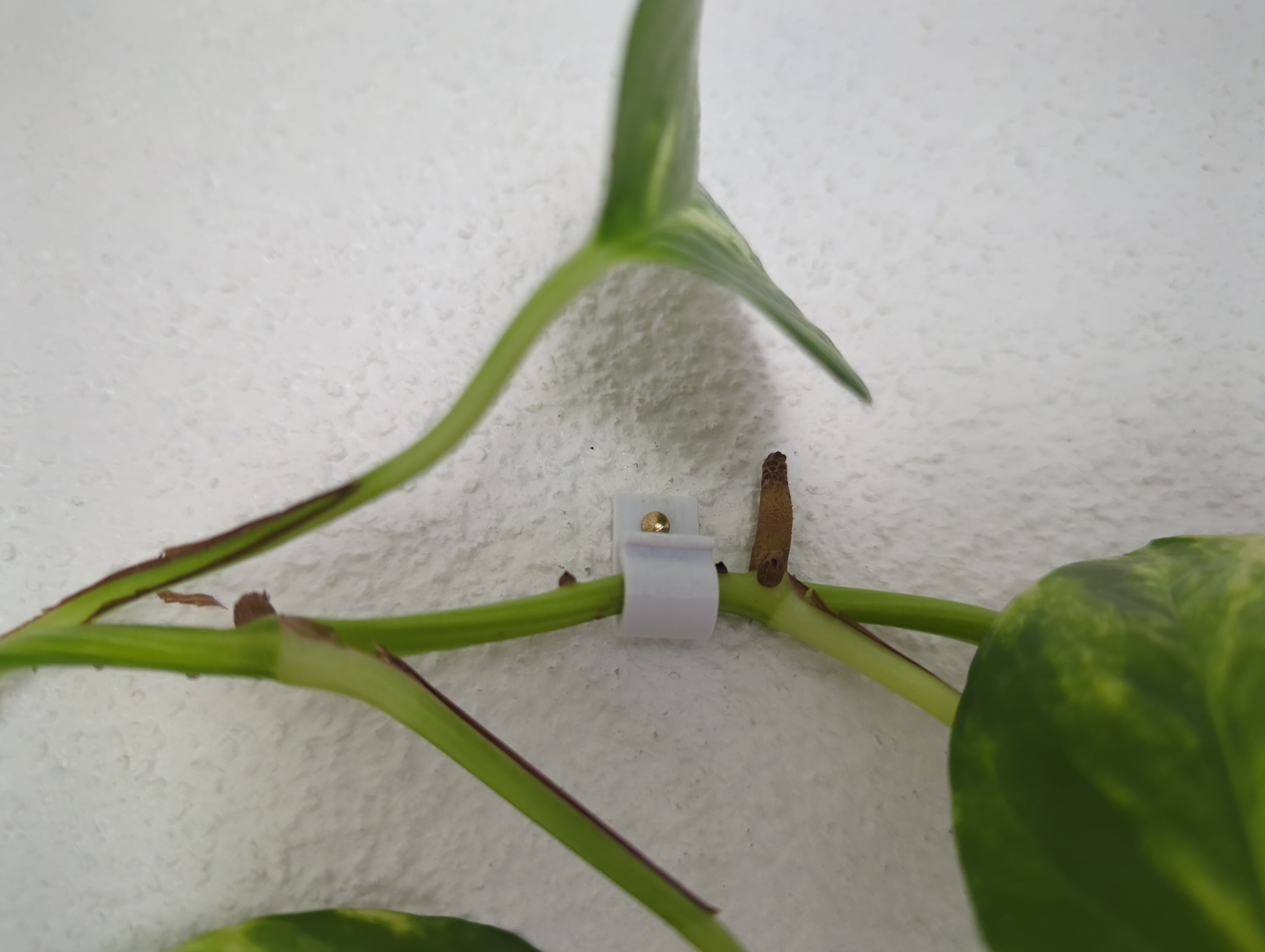 Miniatura 2 do modelo 3D Rounded wall hook