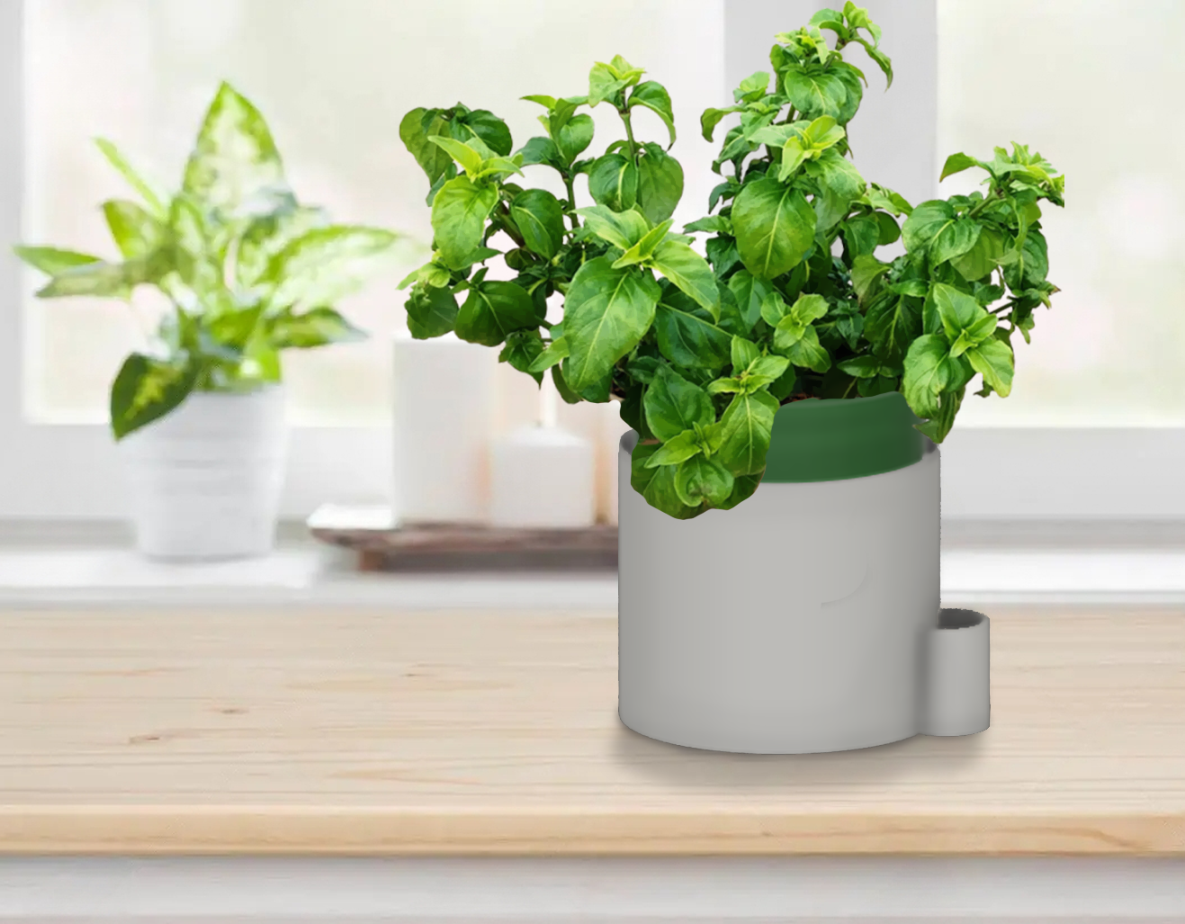 Self Watering Large Planter | Herbs, Flowers, House Plants!