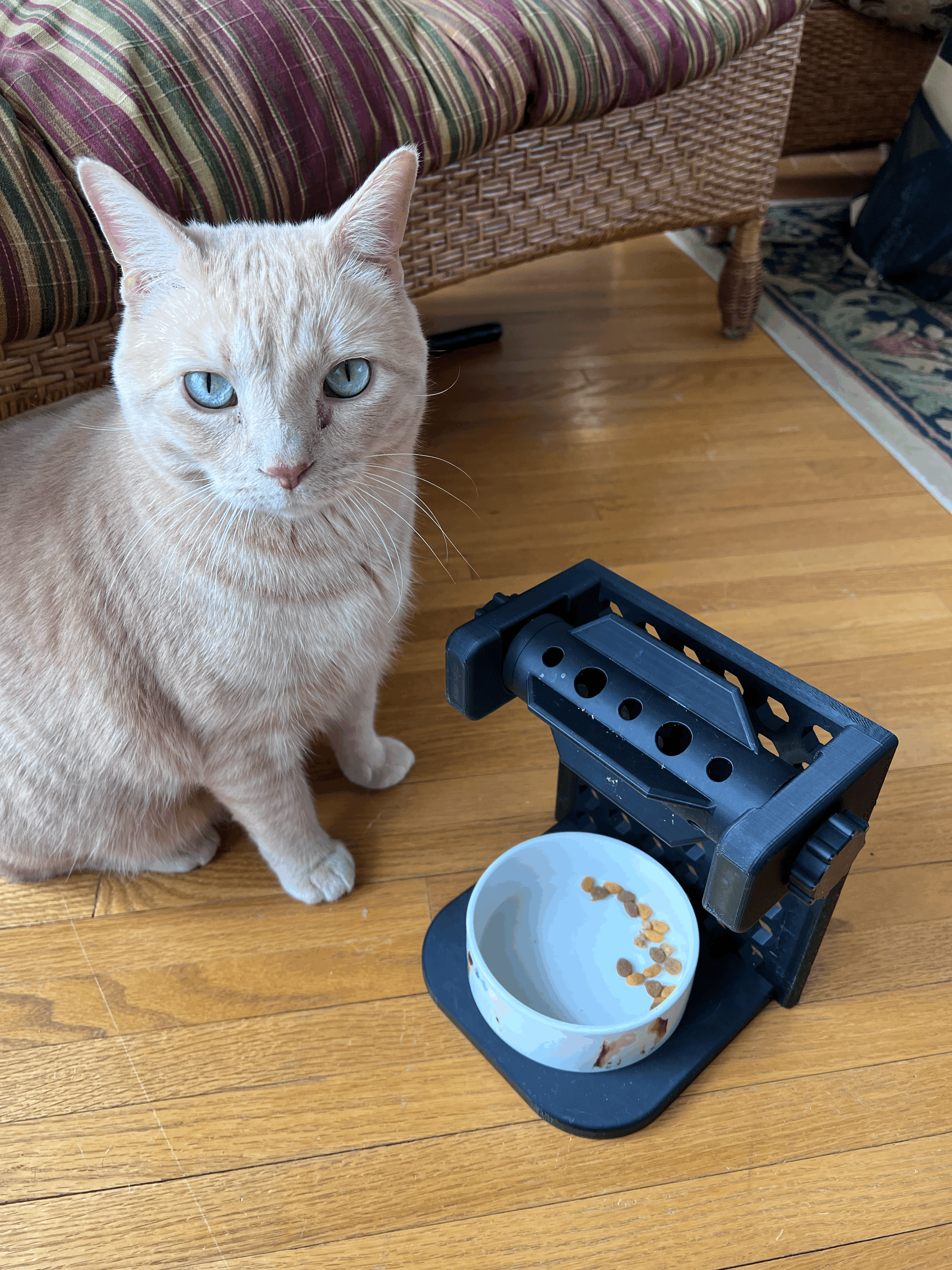 Cat Feeding Homemade Cat Food Puzzles Dinner For One (300 Pc Large