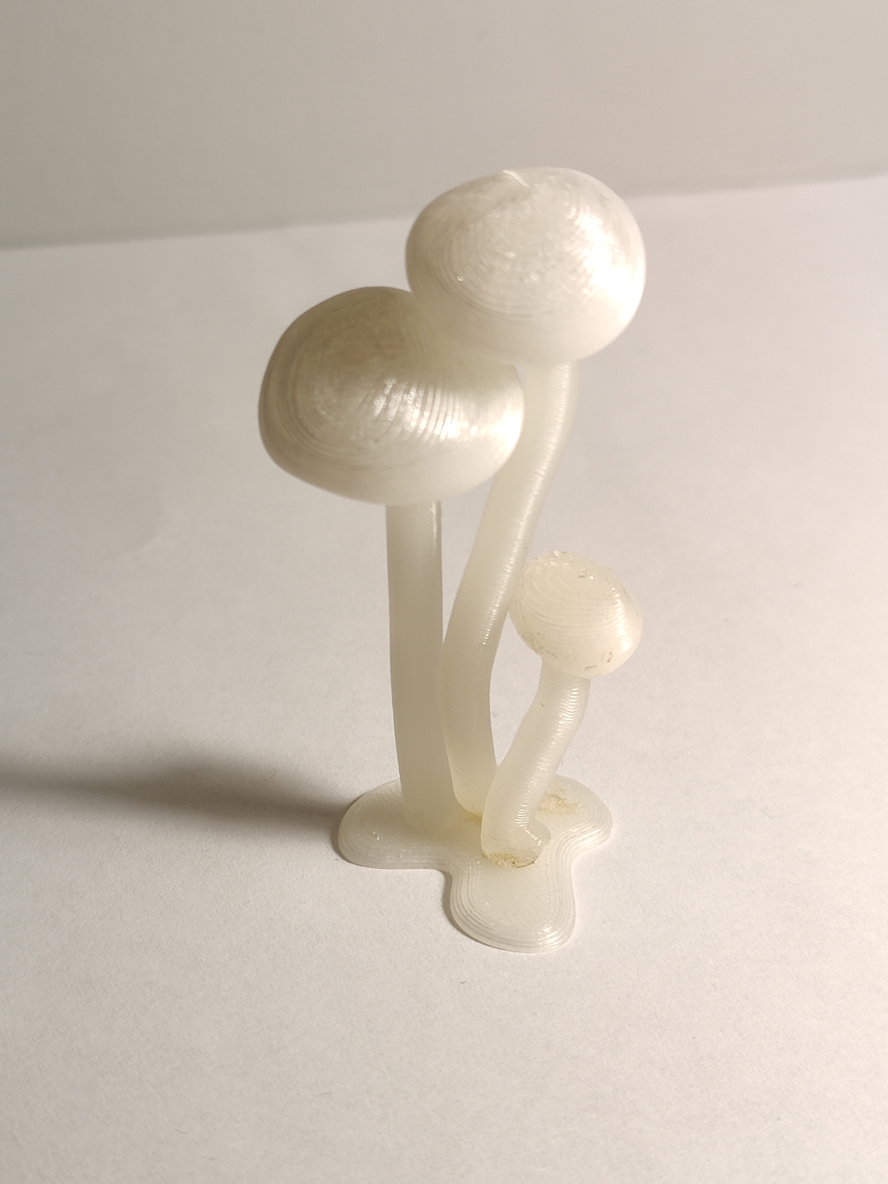 Glowing Mushrooms