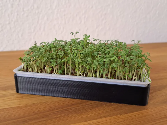 Cress Planter