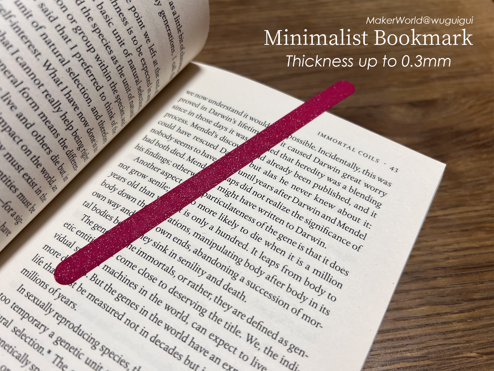 Minimalist Bookmark