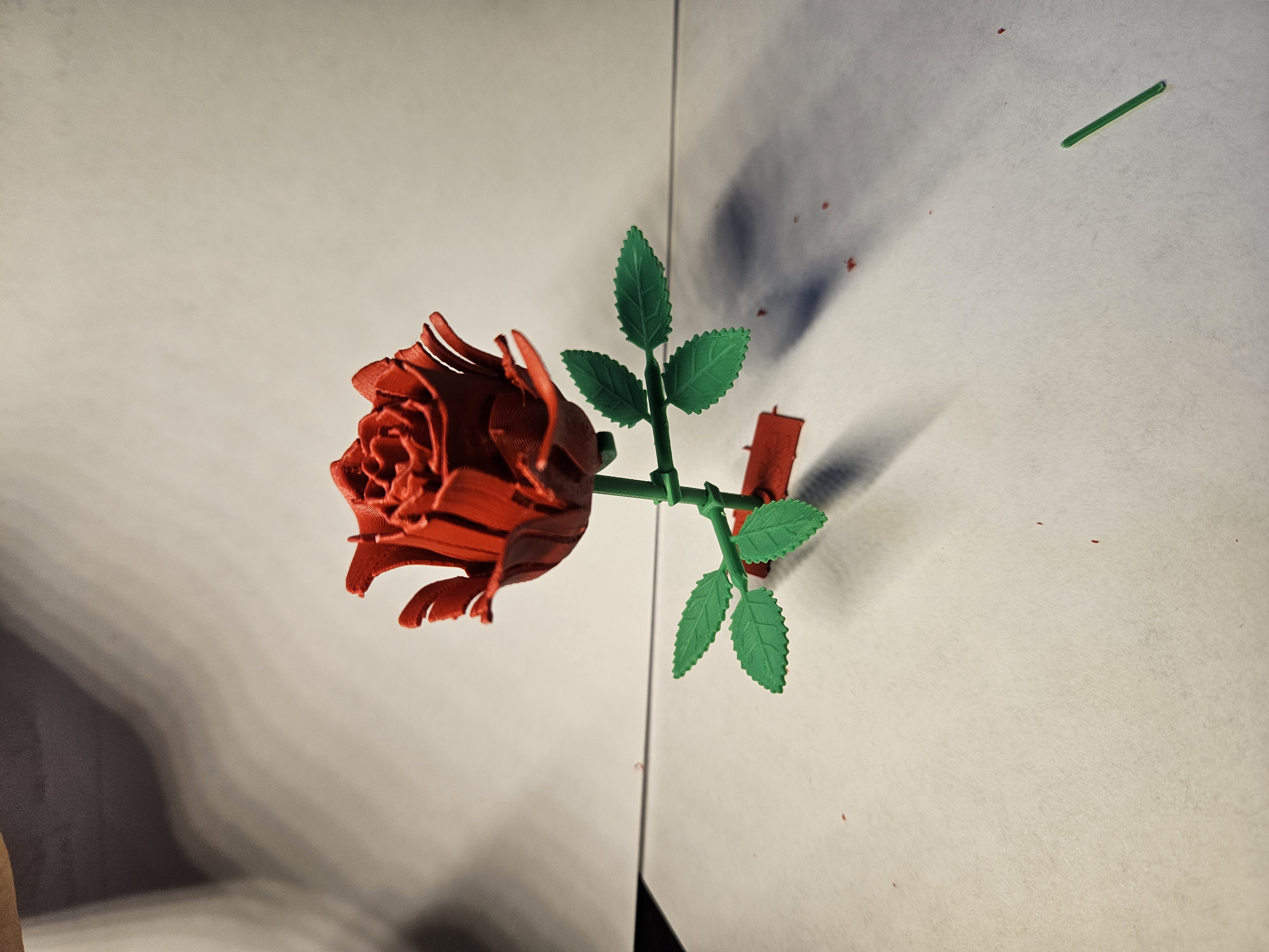 rose kitcard — miniatura 4