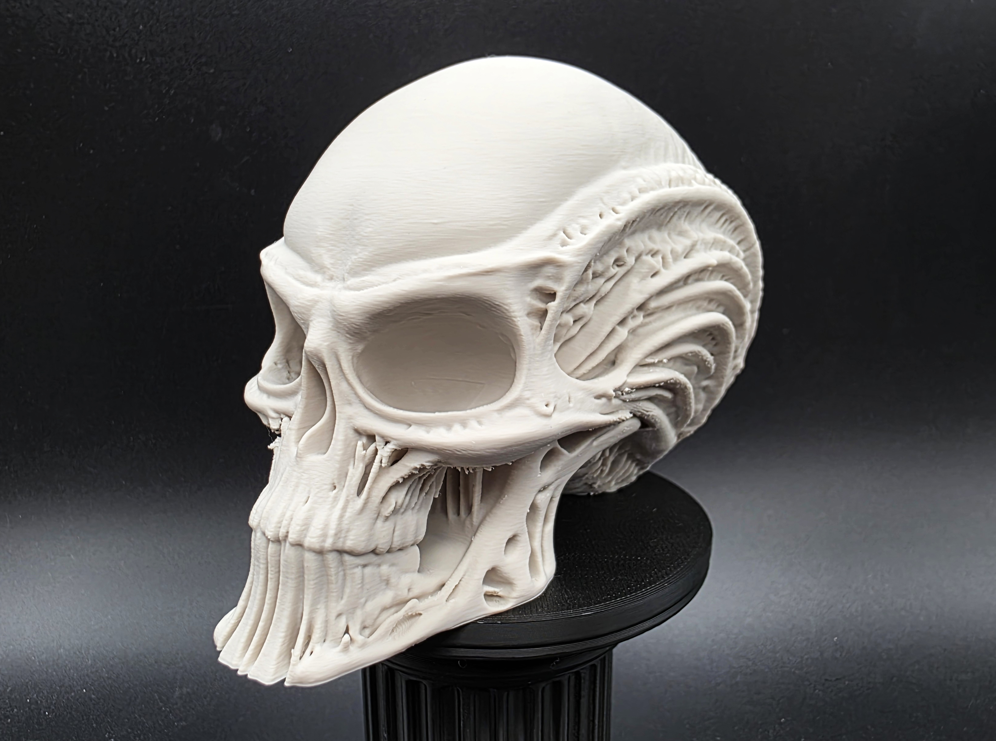 Miniatura 4 do modelo 3D Skeletal Alien Head