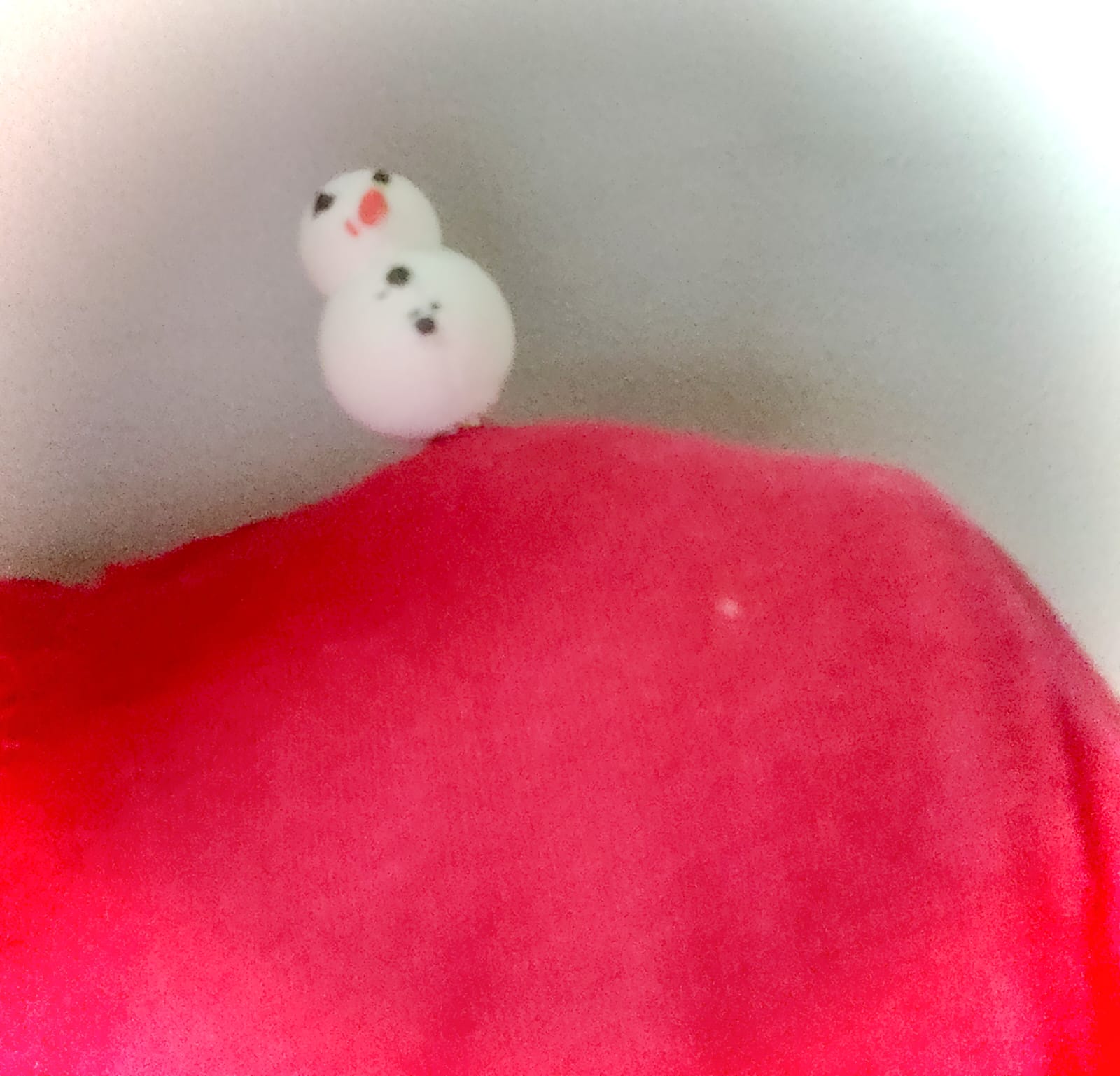 Snowy Shoulder Pal
