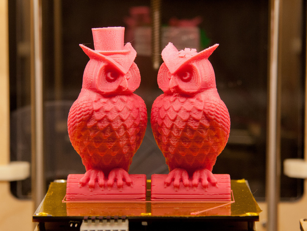 His and Her Owls