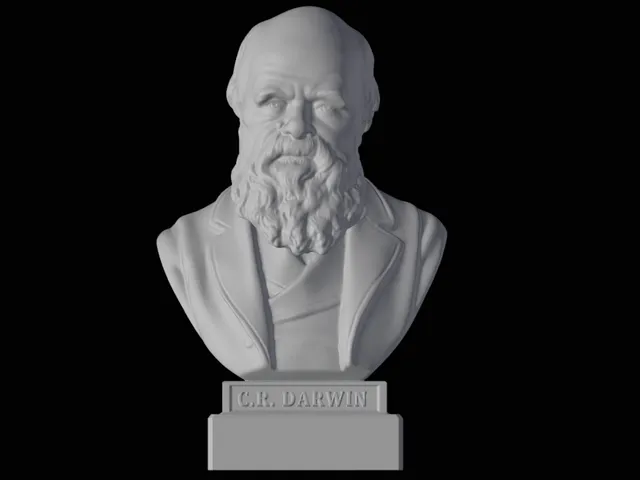 Charles Darwin bust