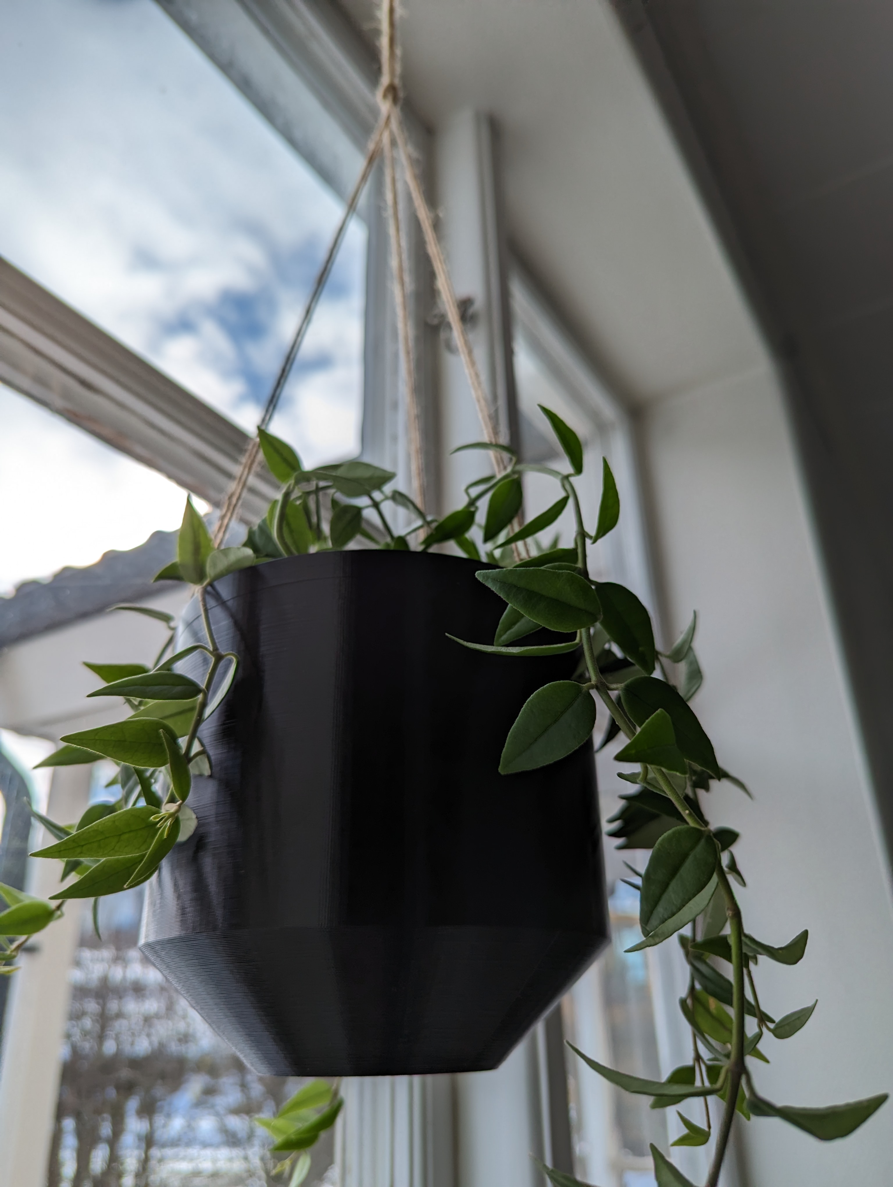 Window hanging pot