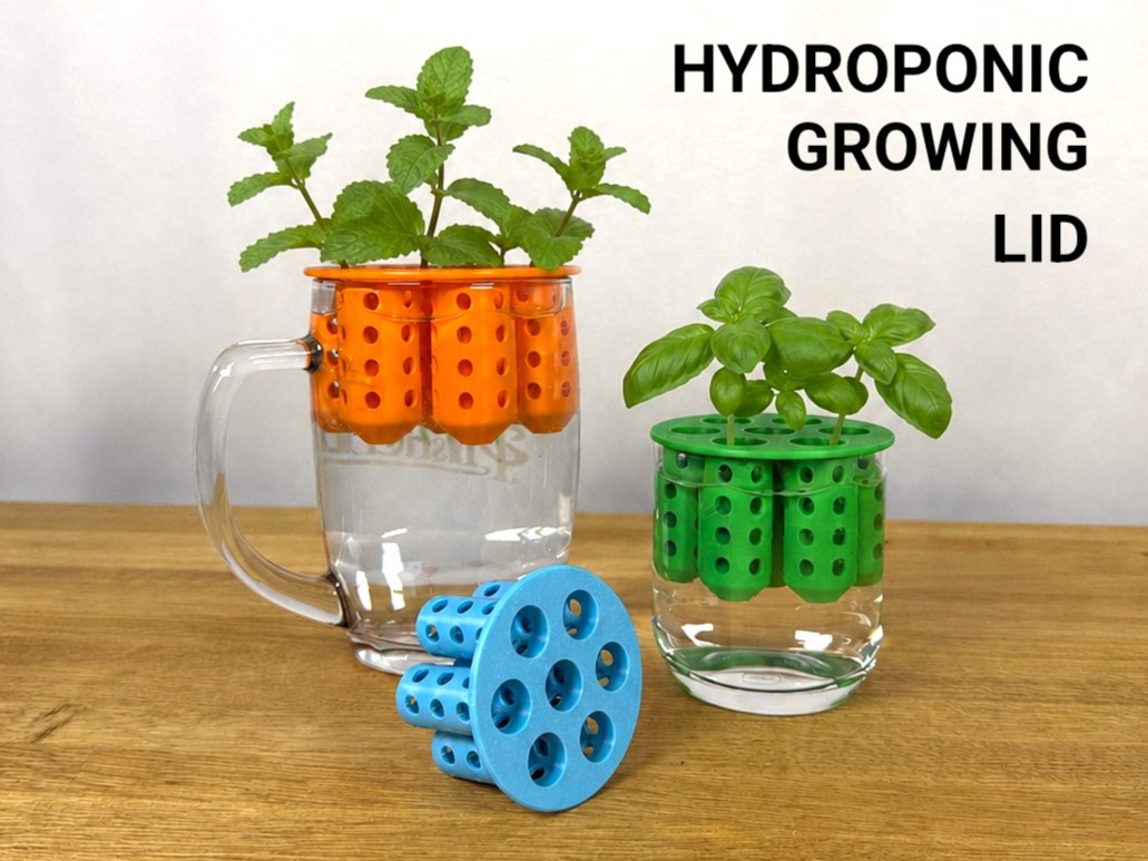 Hydroponic Growing Lid