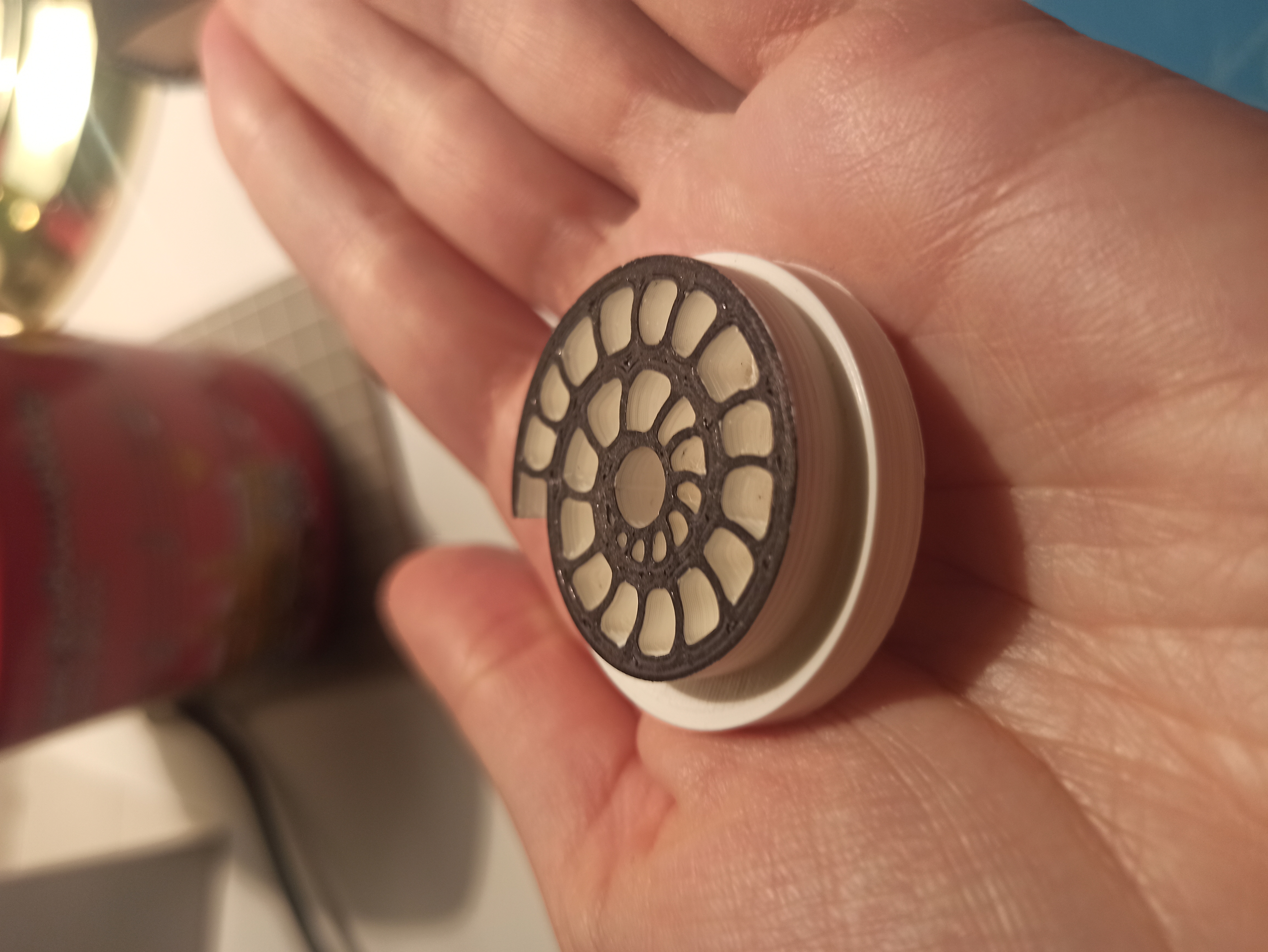 Nautilus shell spiral 45 record adapter