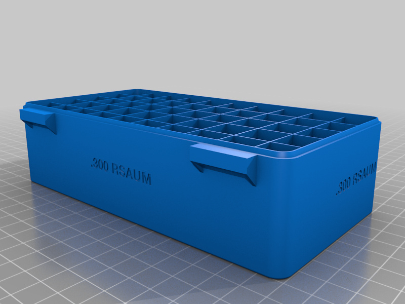 .300 RSAUM, Double Snap Latch Modular Ammo Box by brass_ring ...