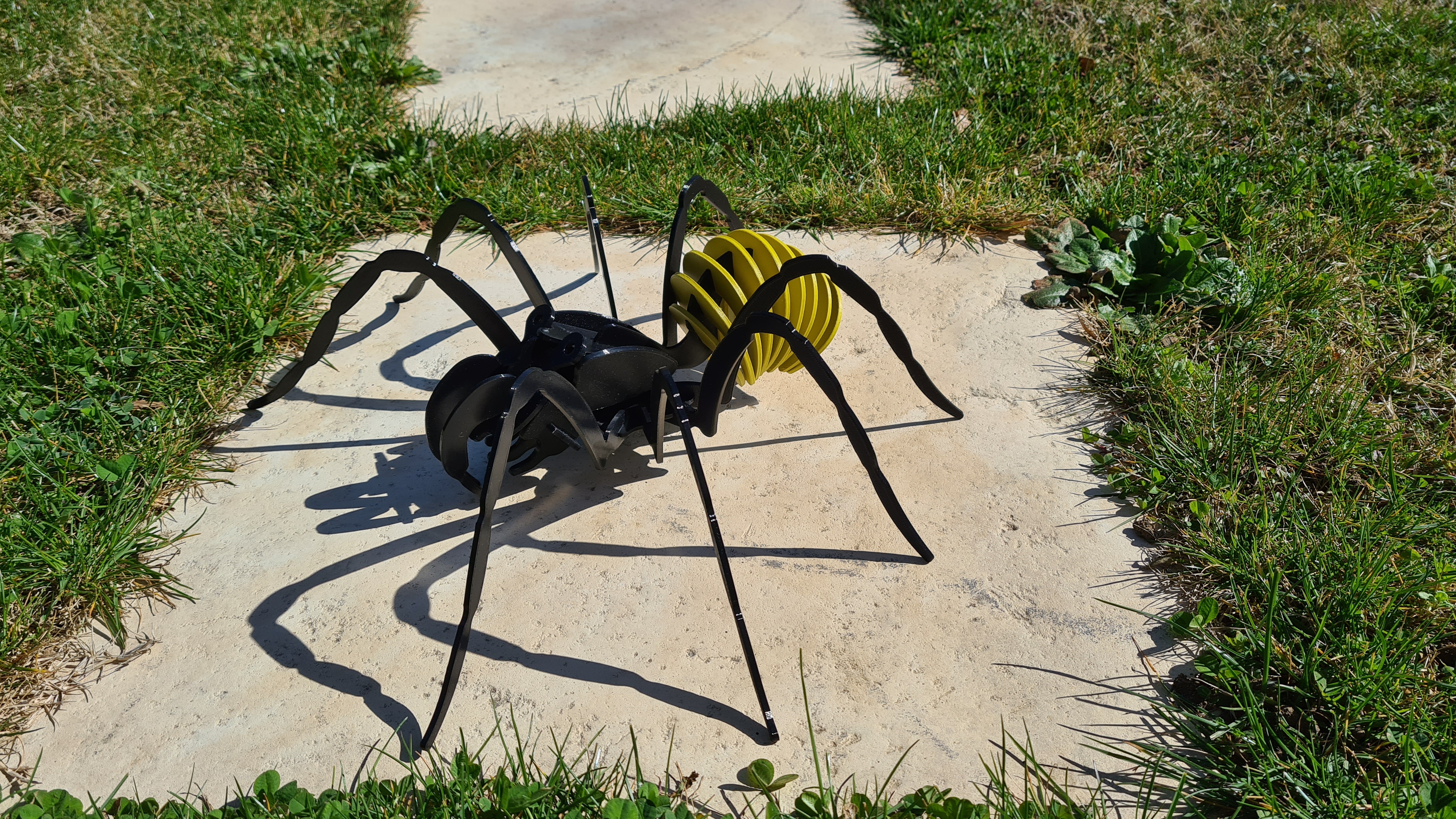 3D Spider