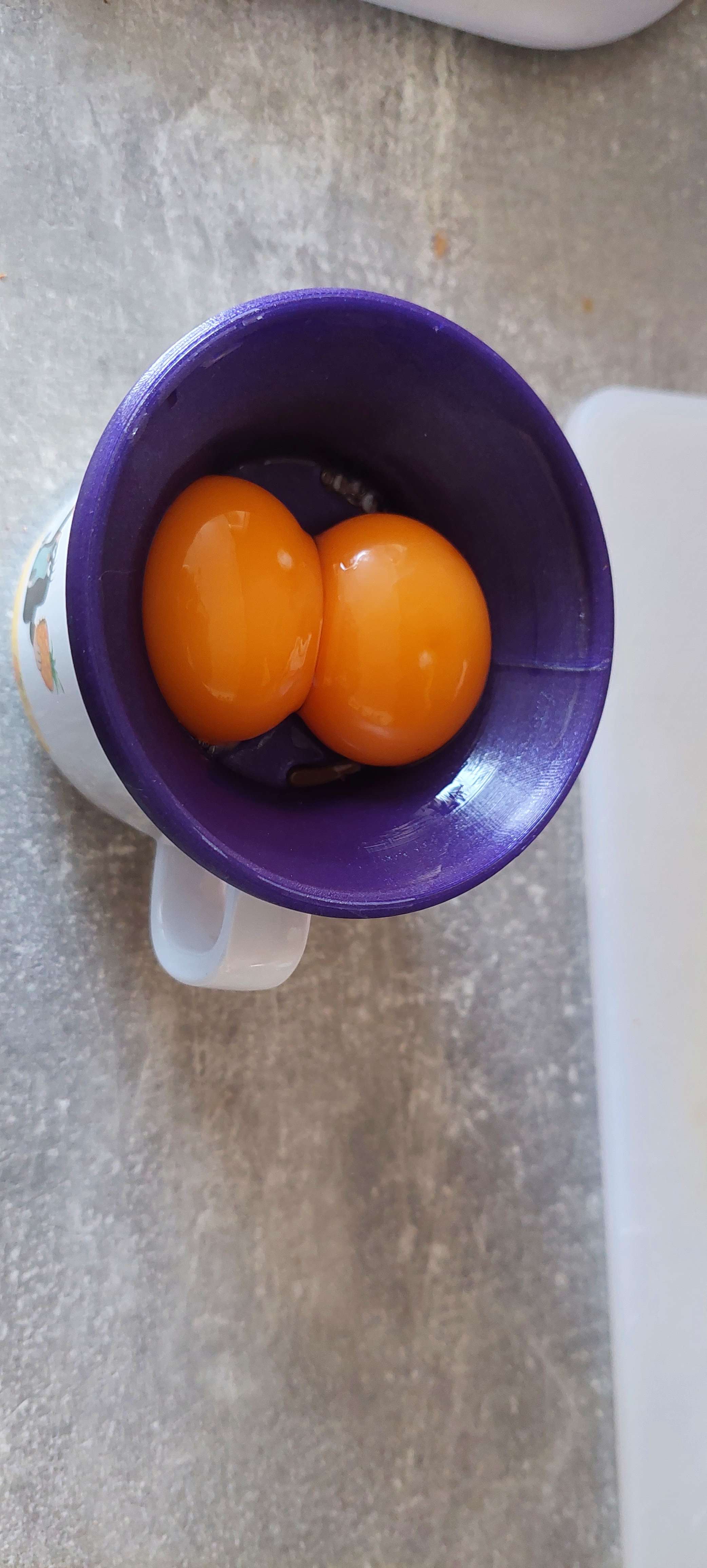 Oddělovač žloutků Egg separátor by Download free STL model