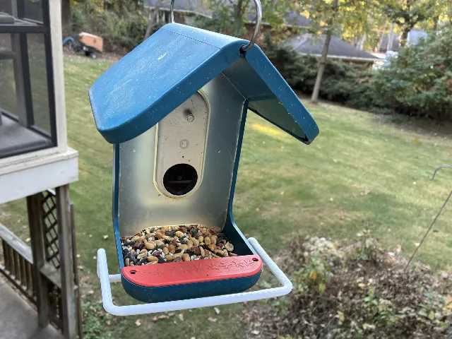 Bird Buddy Perch Accessories