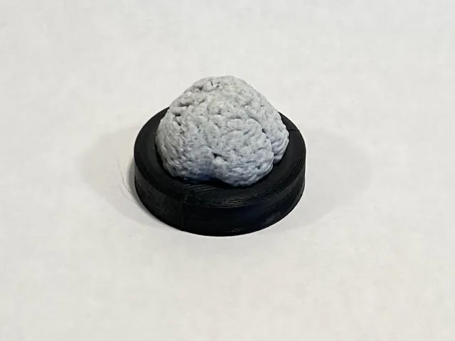 Brain on a Spindle - 45 adapter