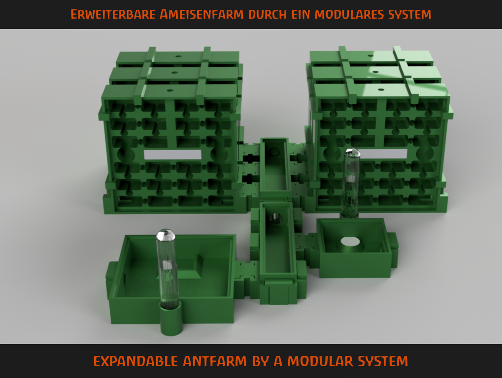 Little Formicarium