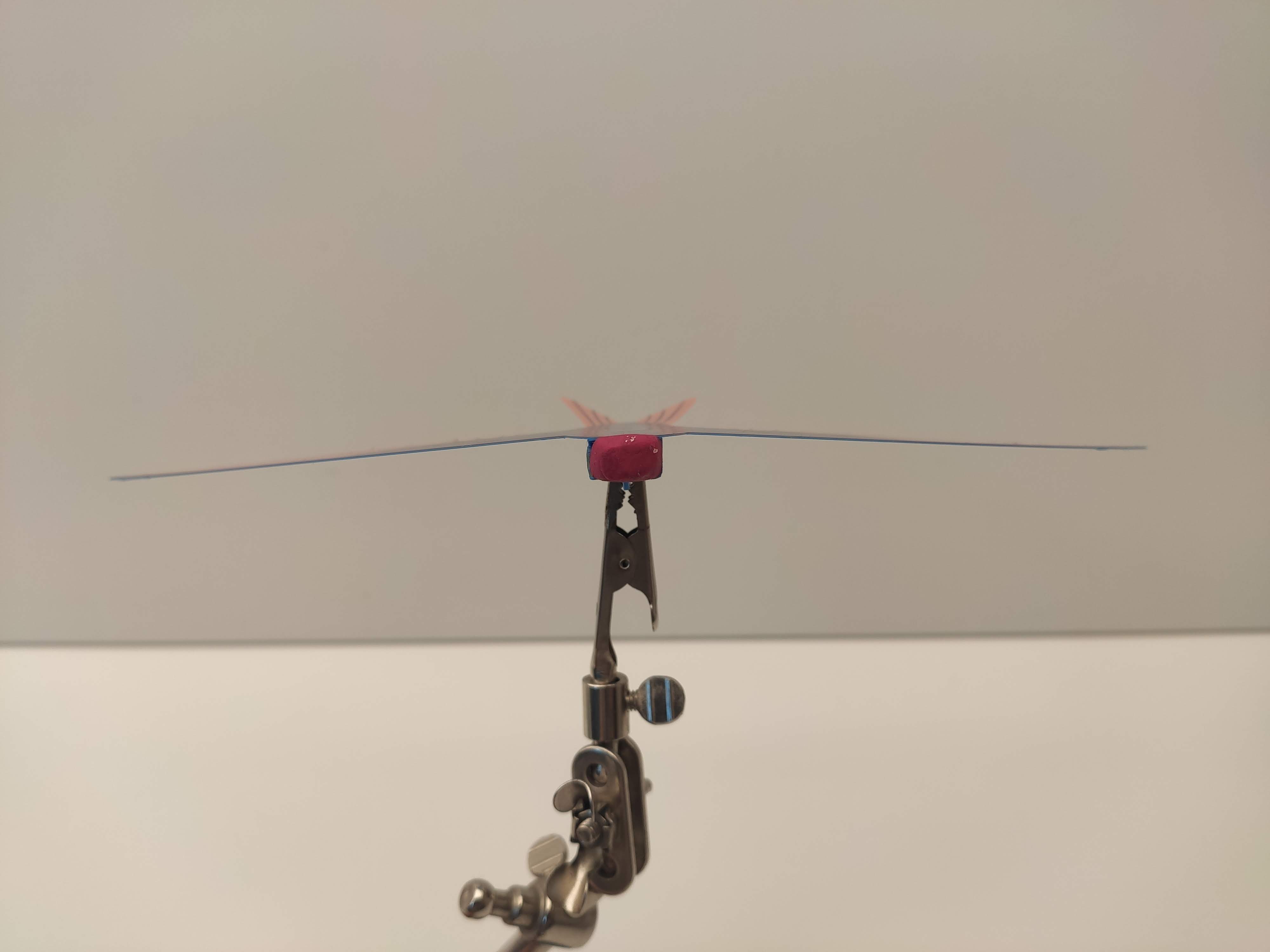 Miniatura 3 do modelo 3D Swift - small bird glider