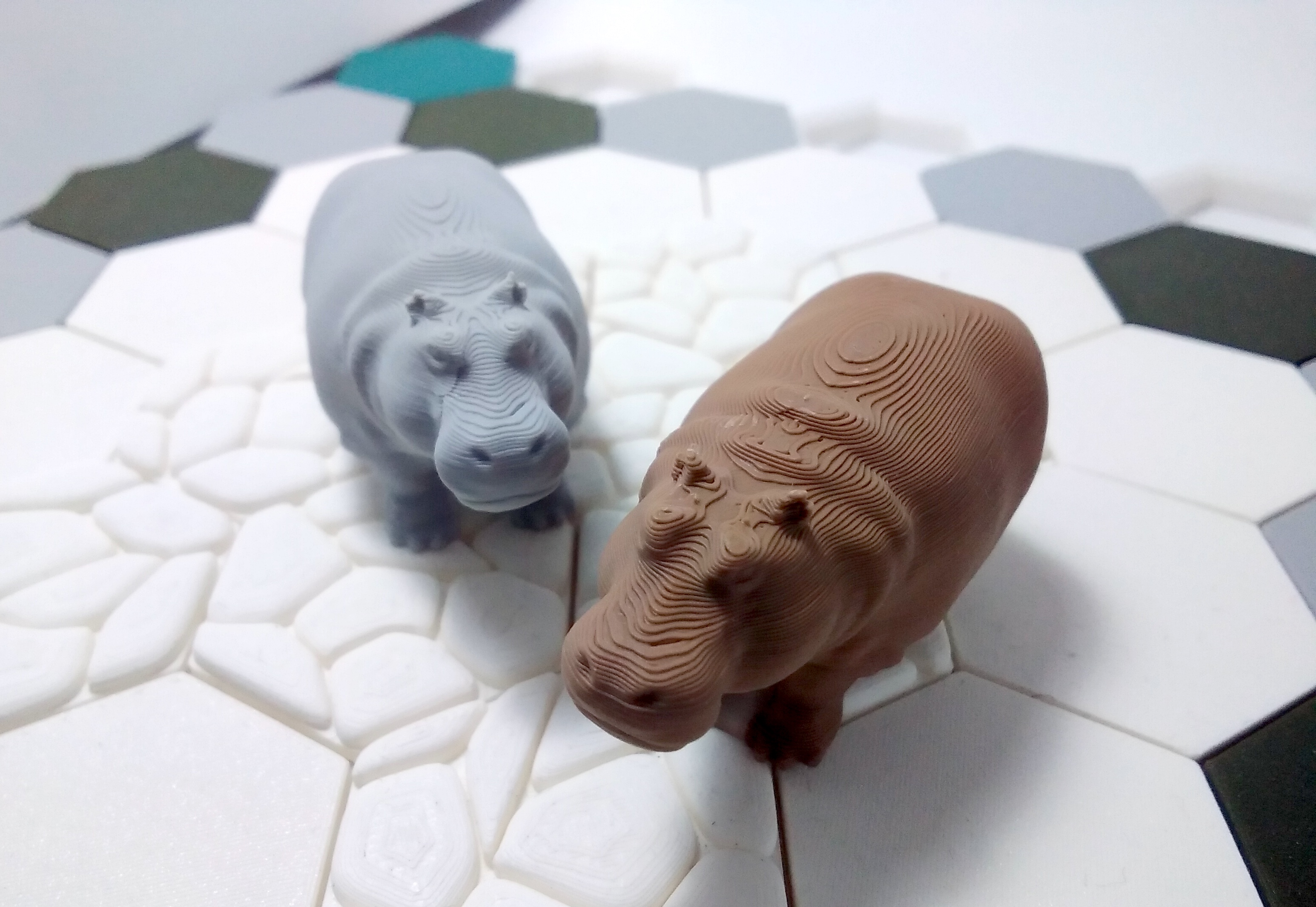 Hippopotamus