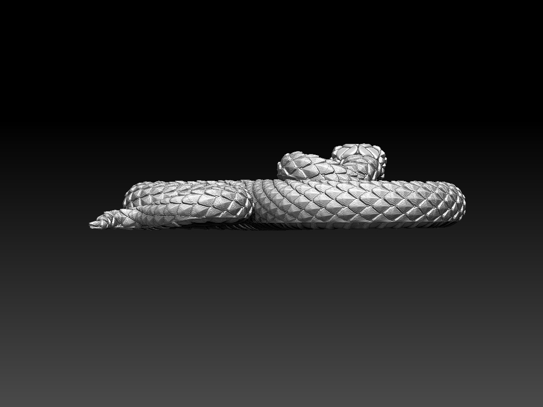 SNAKE — miniatura 2