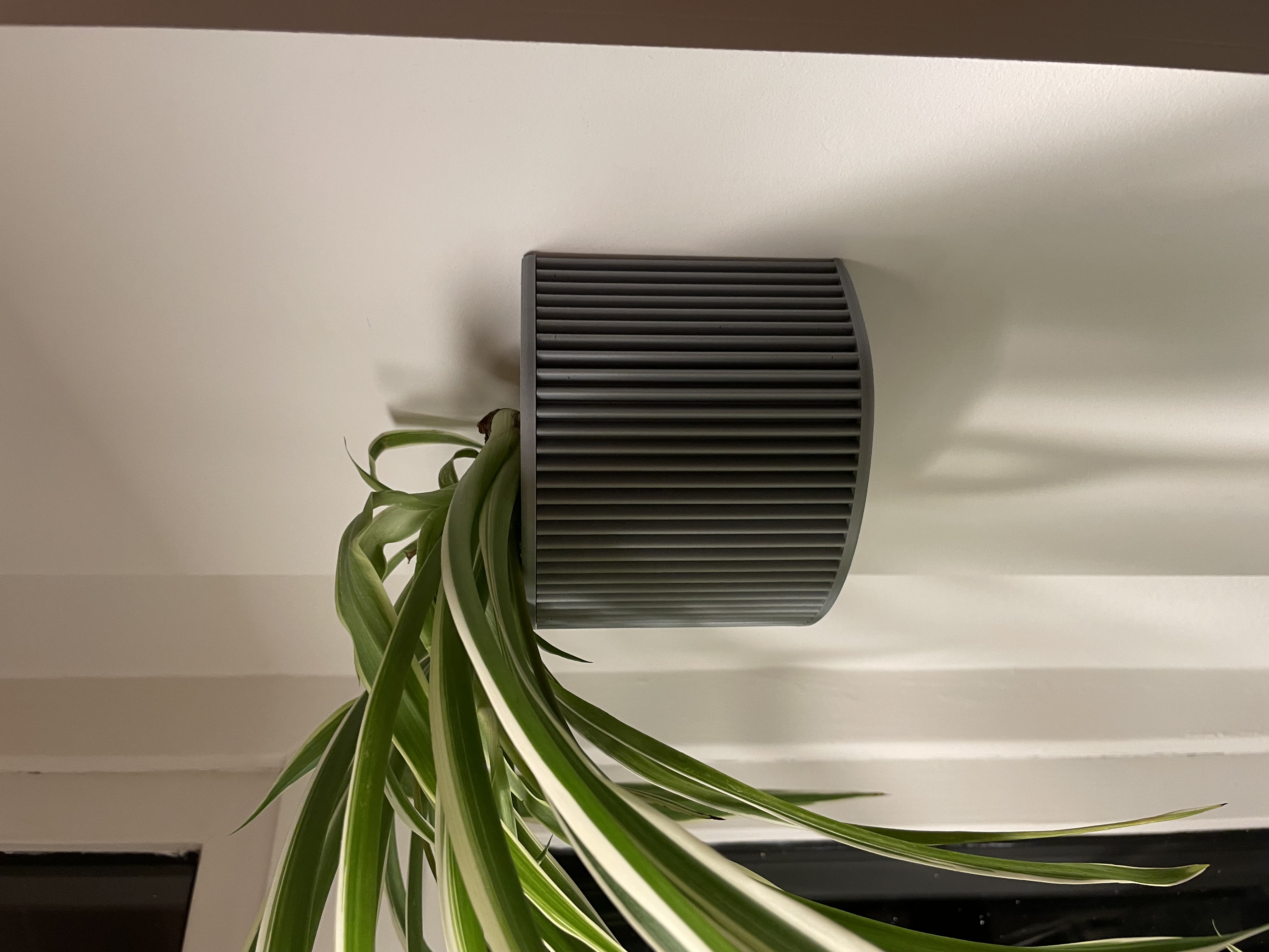 Wall planter (with drain insert)