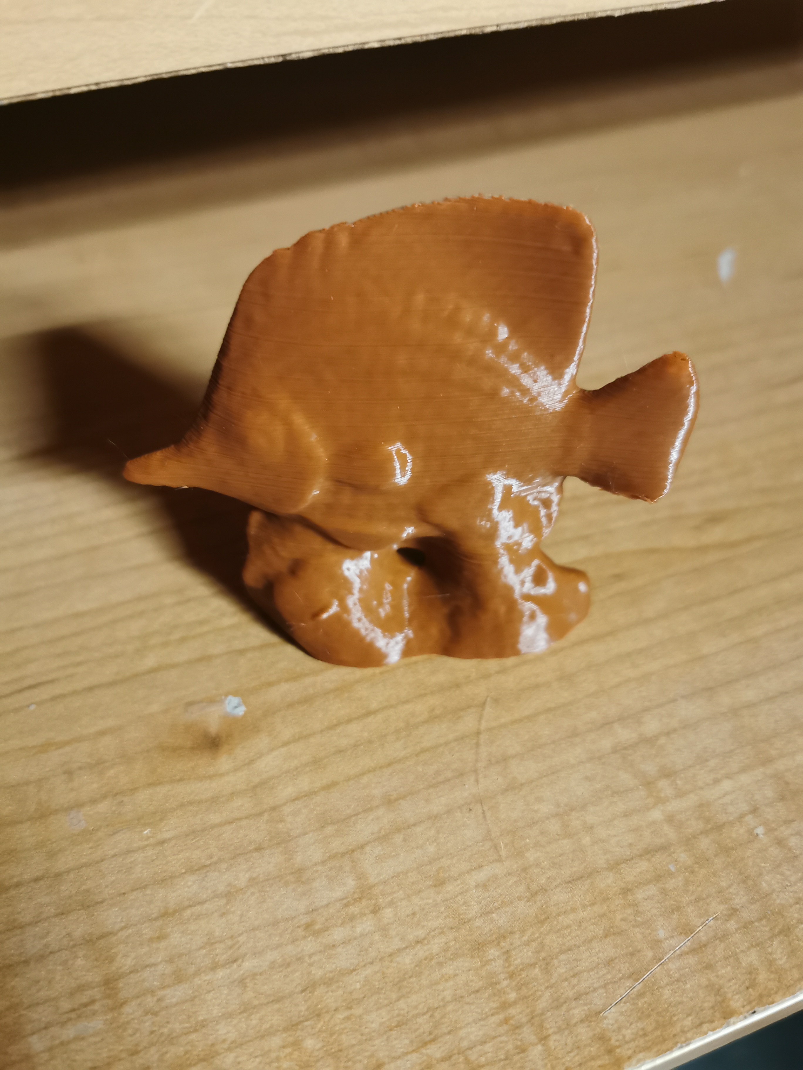 Fish