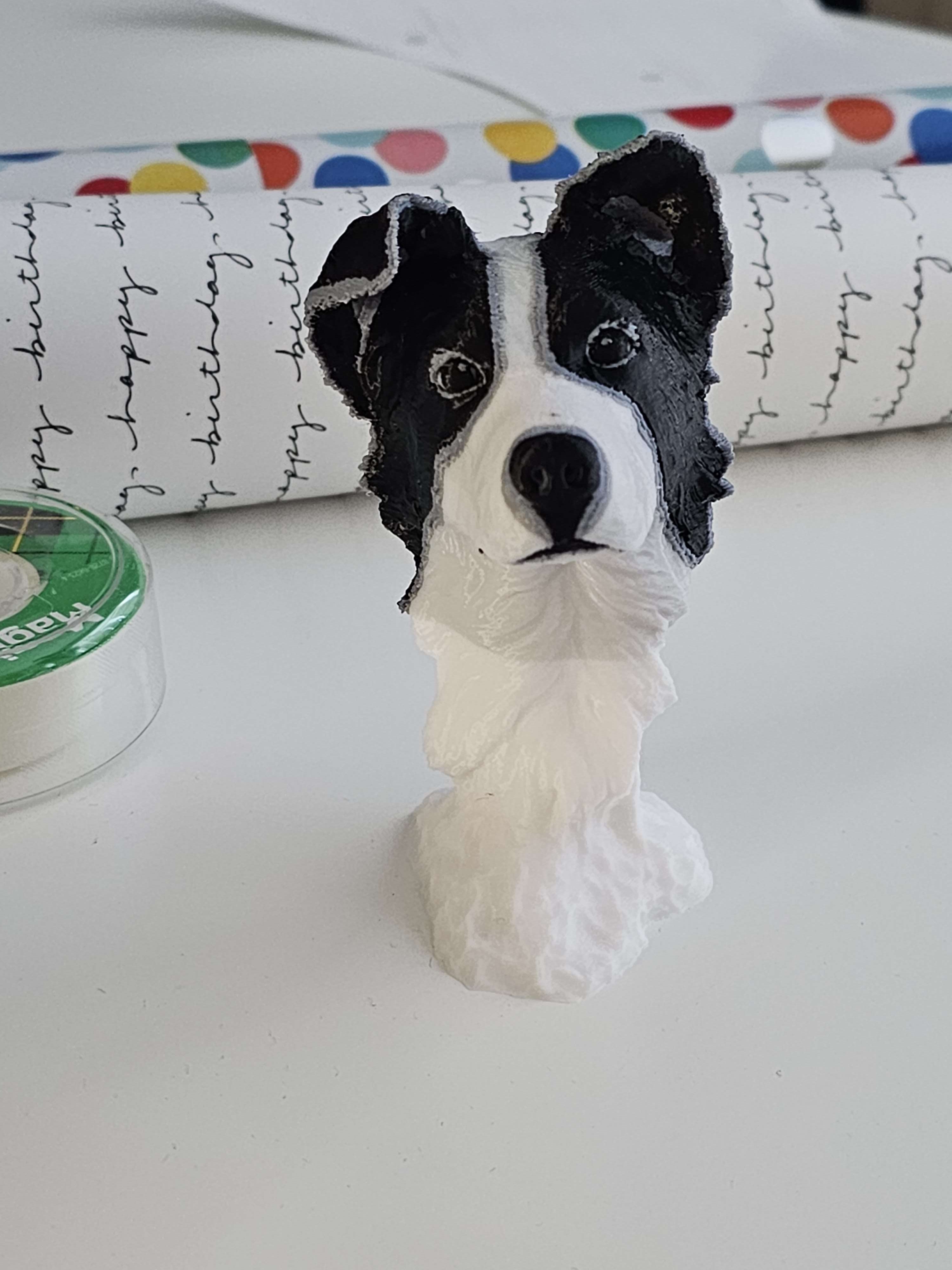 Border Collie (Multicolor Print)
