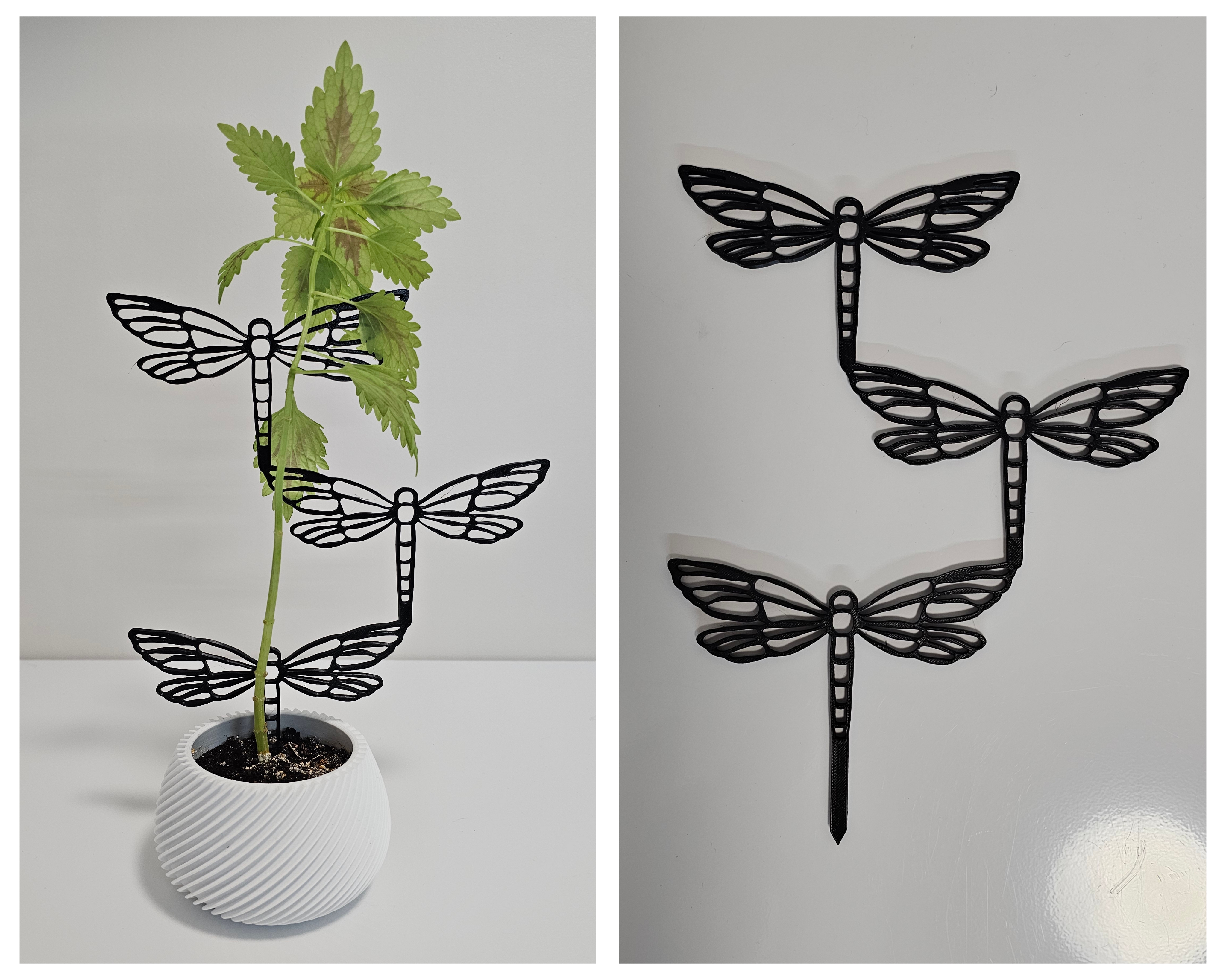 Support for plants. Plant Trellis. Dragonfly.